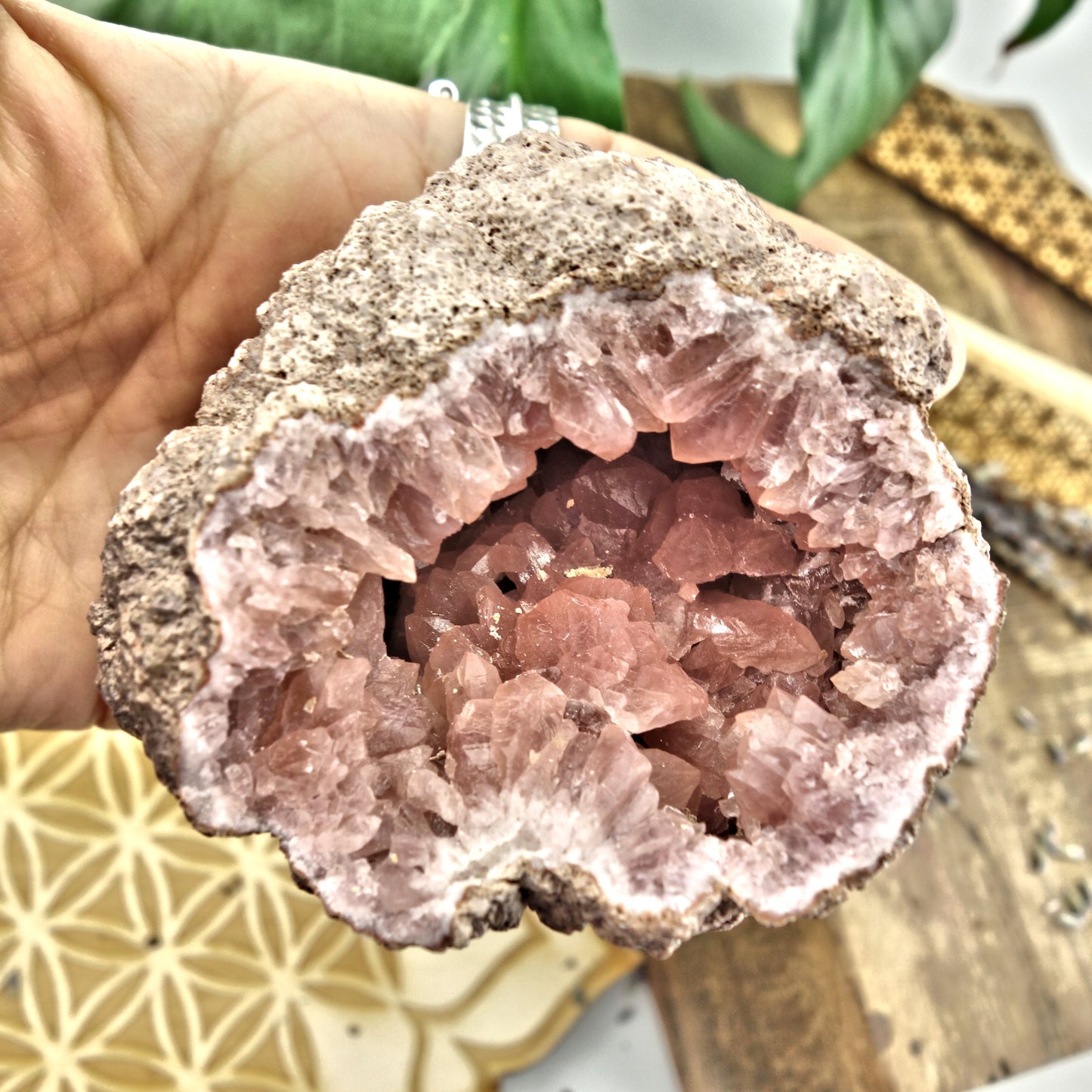 NEW FIND! Gorgeous Large Pink Amethyst Geode Cluster From Patagonia - Earth Family Crystals