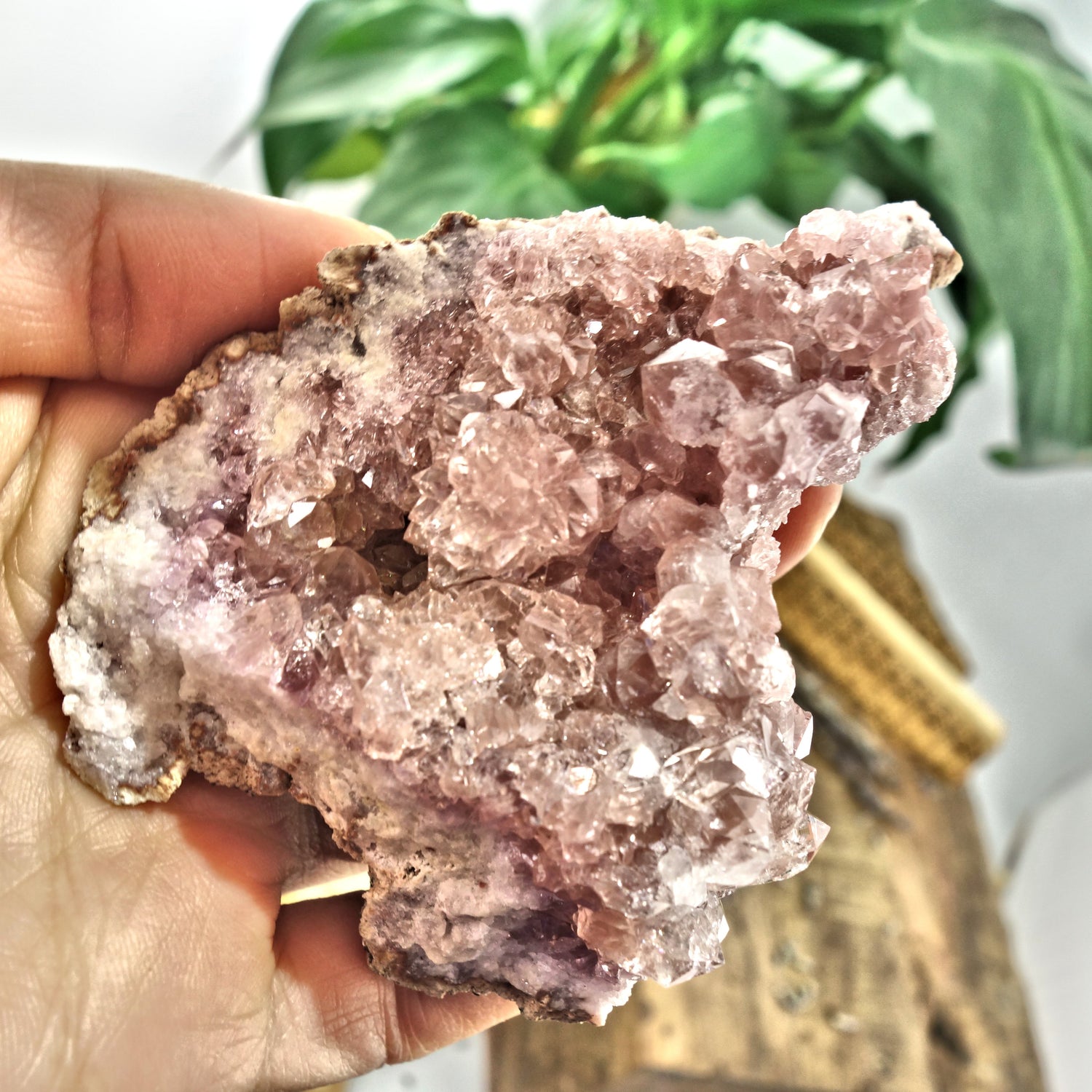 NEW FIND! Large Pretty Druzy Pink Amethyst  Cluster From Patagonia - Earth Family Crystals