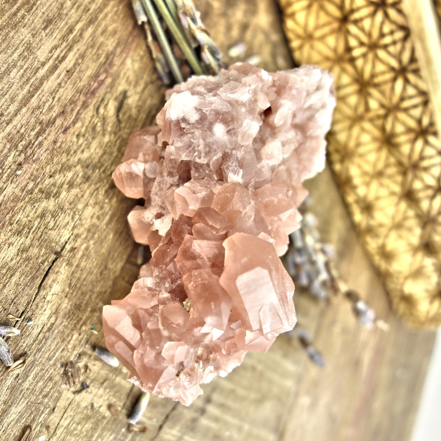 NEW FIND! Pretty Pink Amethyst Druzy Cluster From Patagonia - Earth Family Crystals