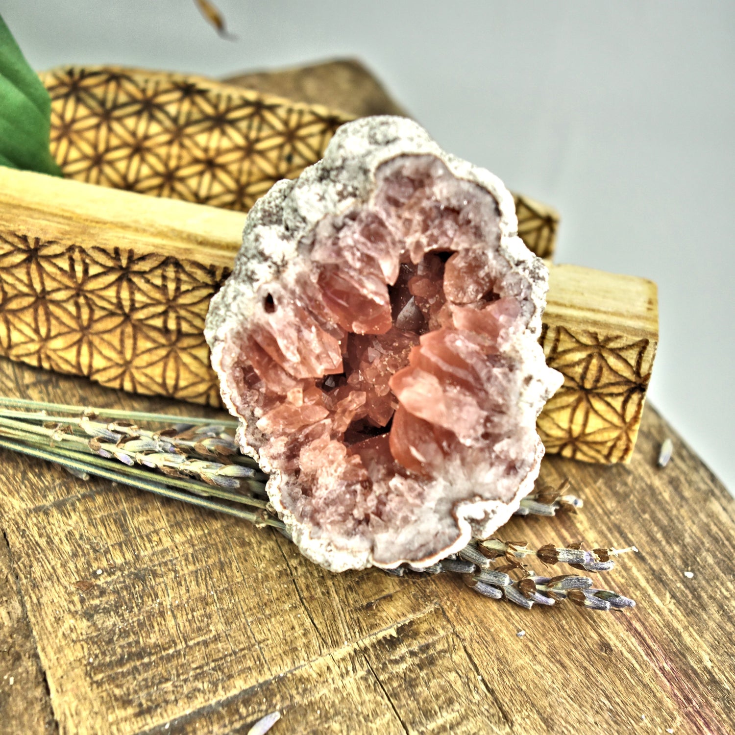 NEW FIND! Gorgeous Dark Pink Amethyst Druzy Cluster From Patagonia - Earth Family Crystals