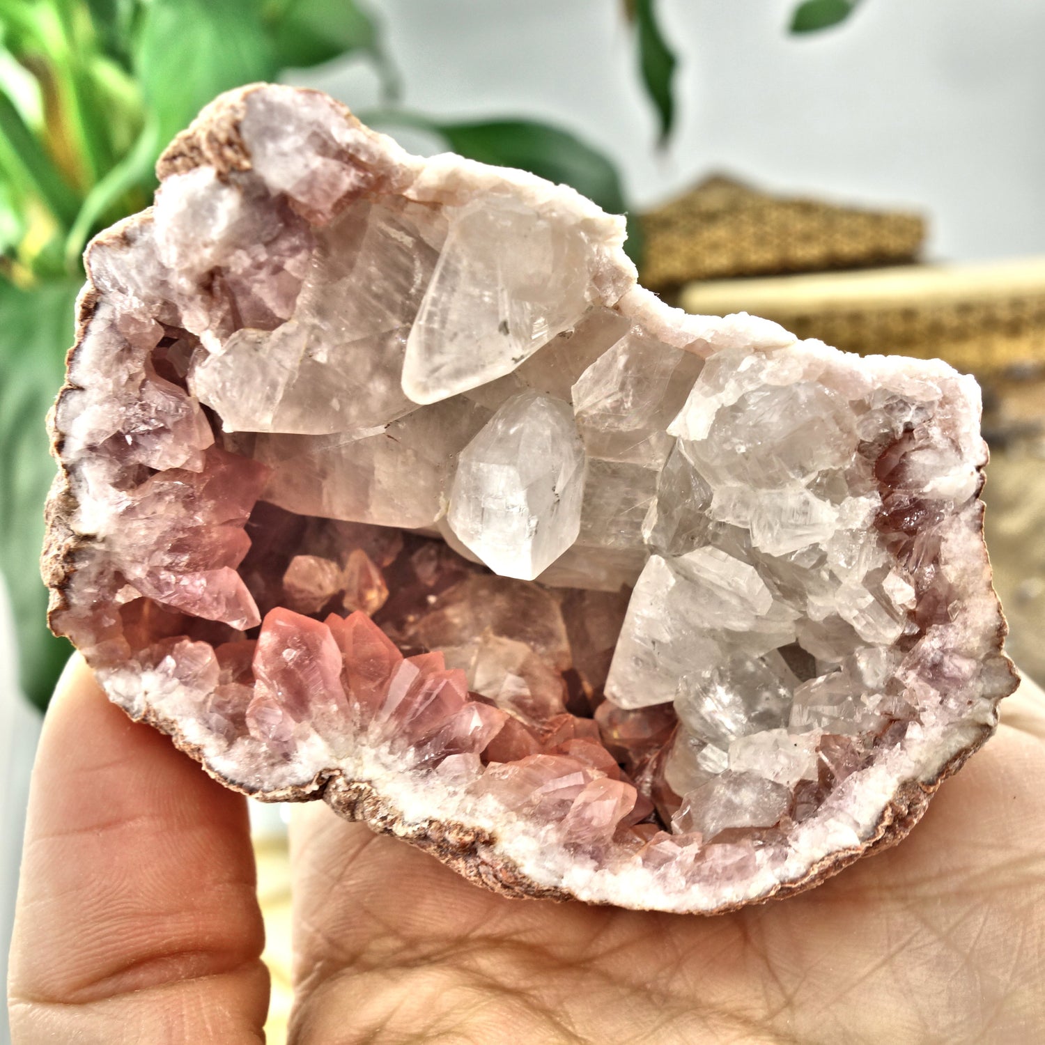 NEW FIND! Large Unique Pink Amethyst & Clear Calcite Druzy Geode Cluster From Patagonia - Earth Family Crystals