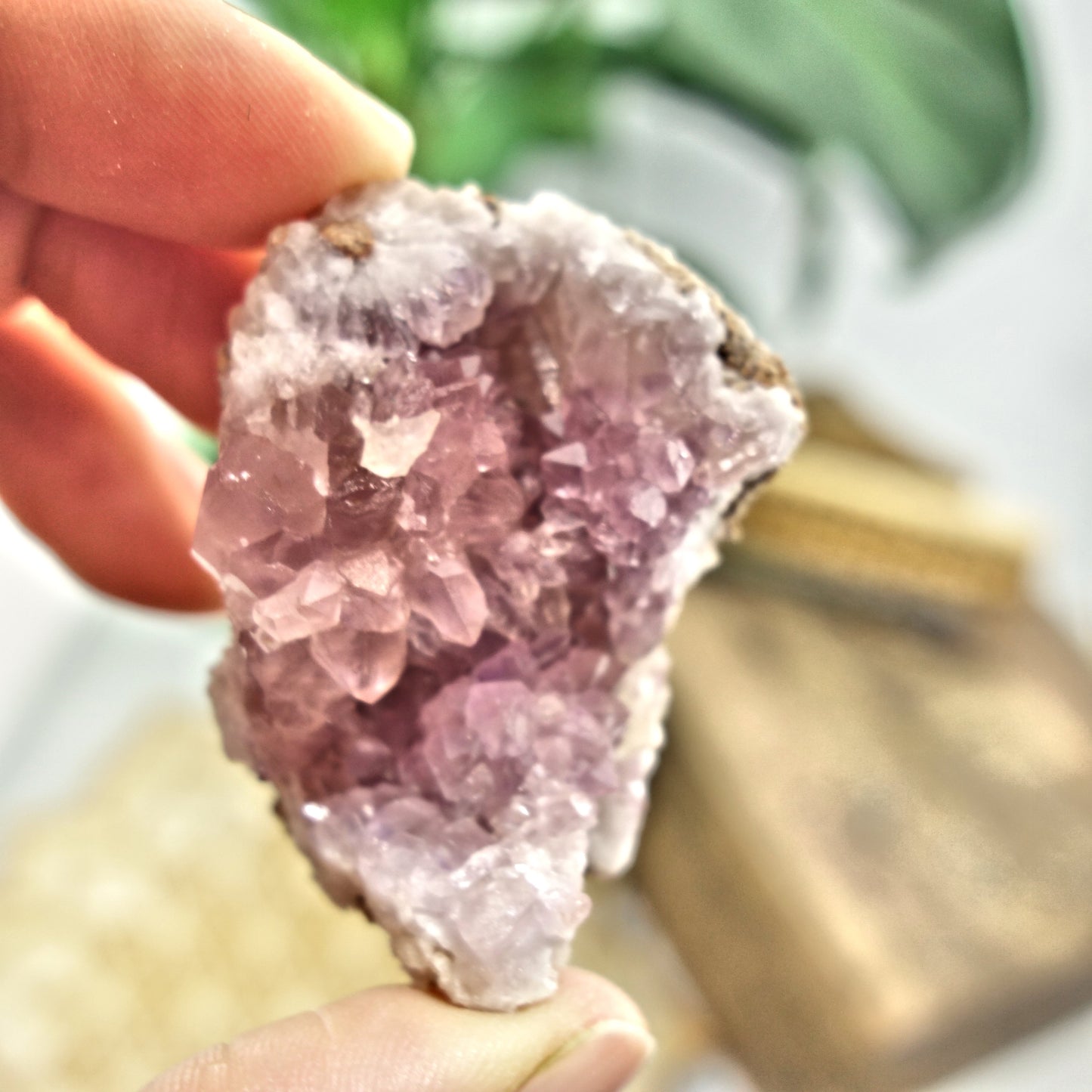 NEW FIND! Small Pink Amethyst Druzy Cluster From Patagonia - Earth Family Crystals