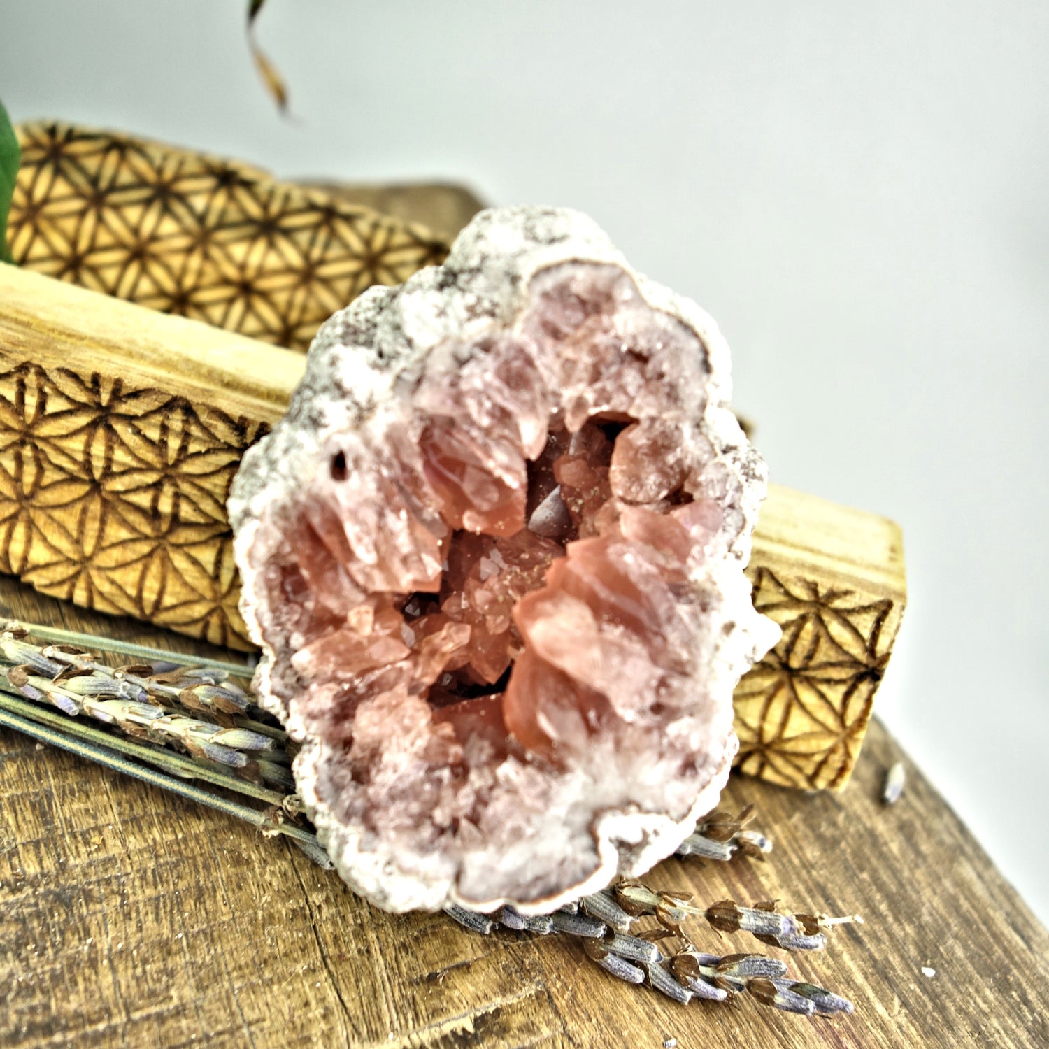NEW FIND! Gorgeous Dark Pink Amethyst Druzy Cluster From Patagonia - Earth Family Crystals