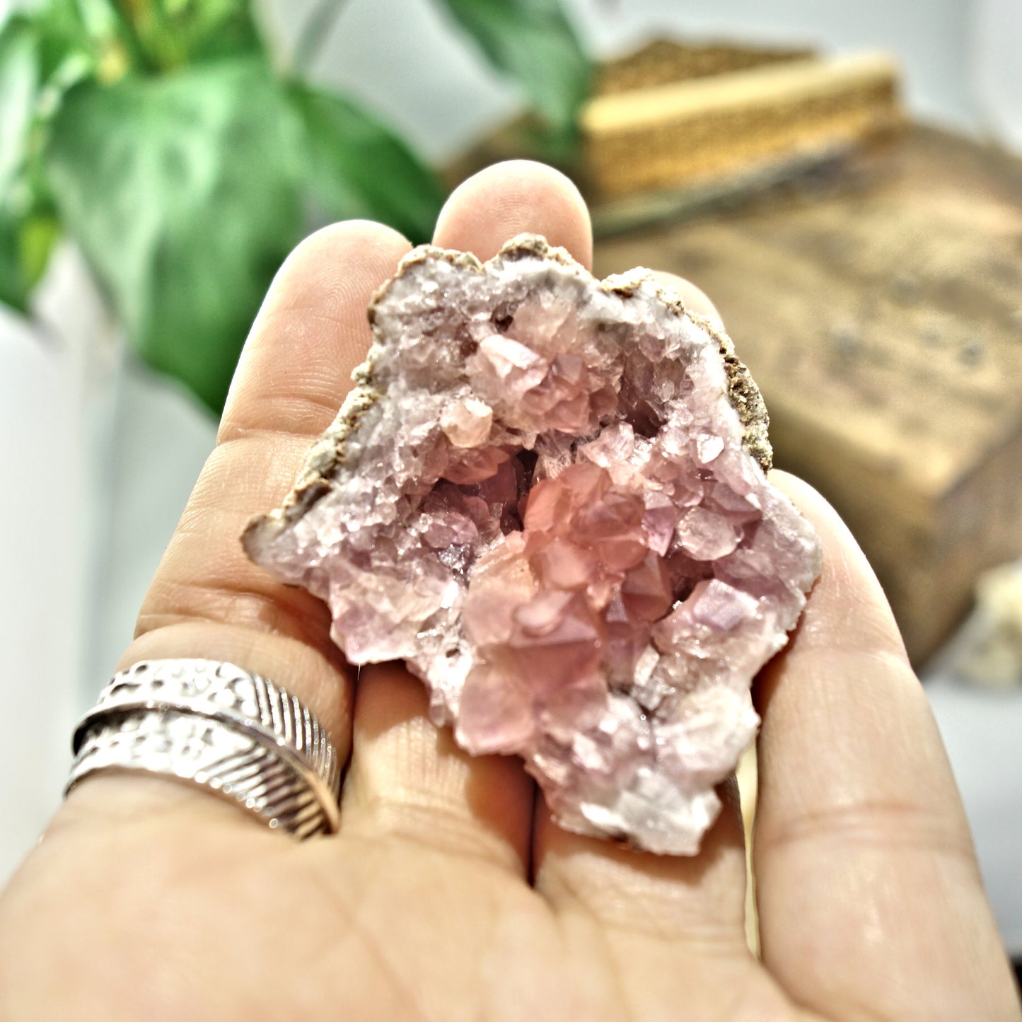 NEW FIND! Lovely  Pink Amethyst Druzy Cluster From Patagonia - Earth Family Crystals