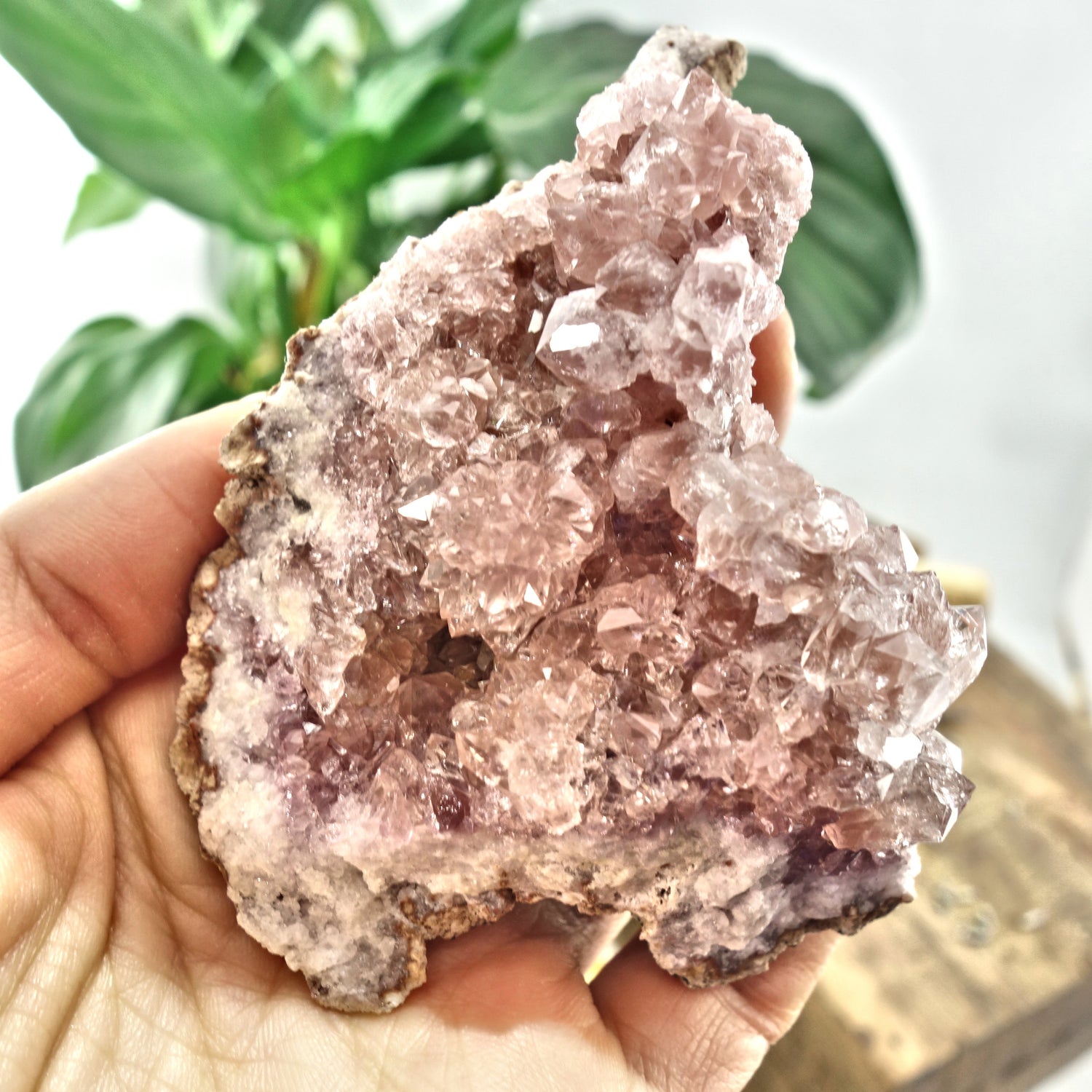 NEW FIND! Large Pretty Druzy Pink Amethyst  Cluster From Patagonia - Earth Family Crystals