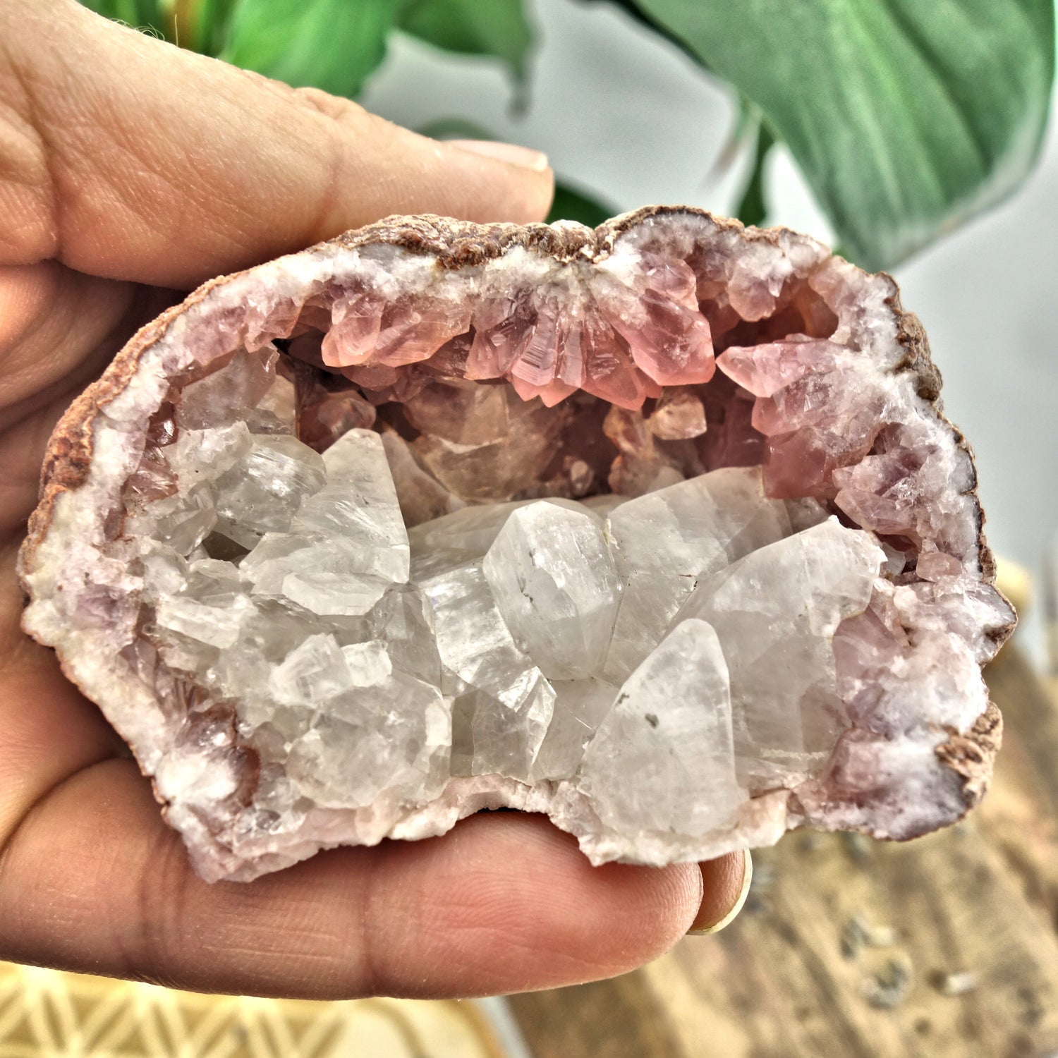 NEW FIND! Large Unique Pink Amethyst & Clear Calcite Druzy Geode Cluster From Patagonia - Earth Family Crystals