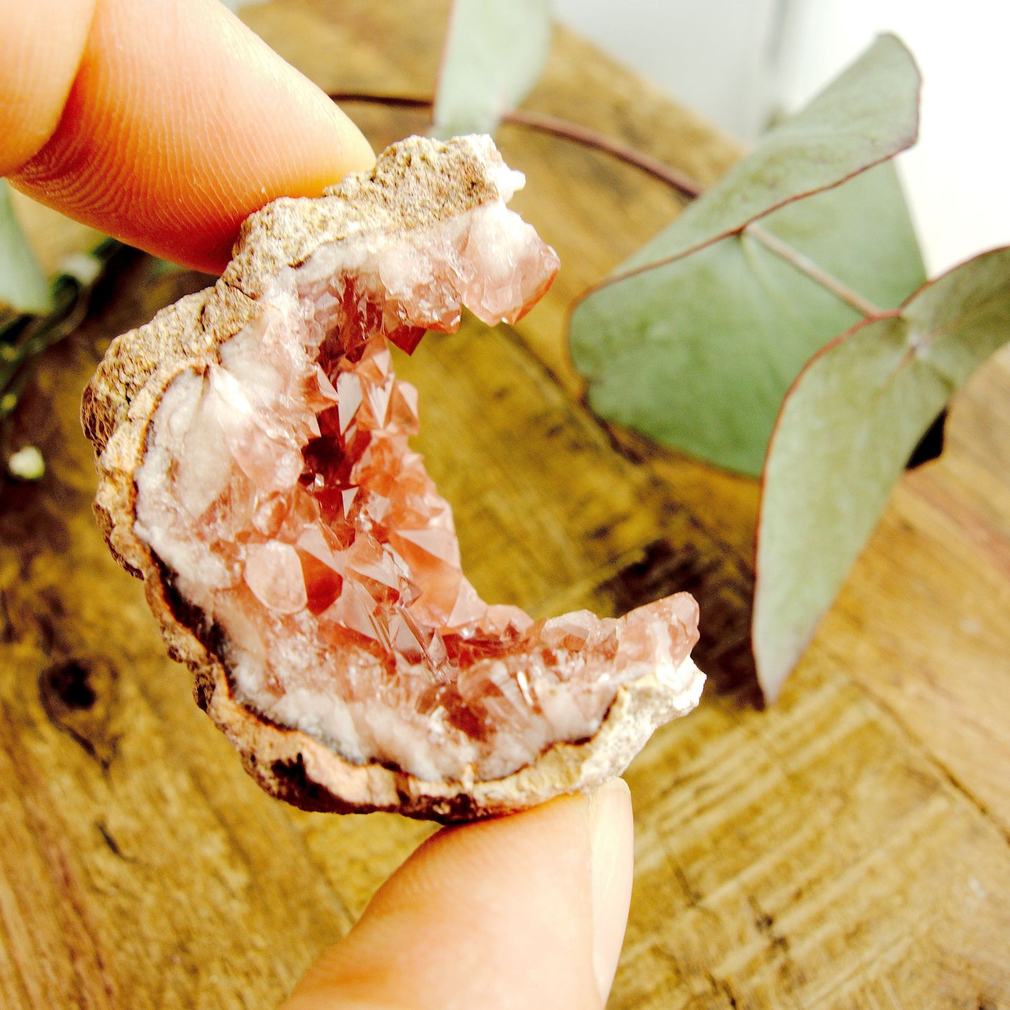  Cute Magenta Pink Druzy Amethyst Hand Held Natural Crescent Specimen