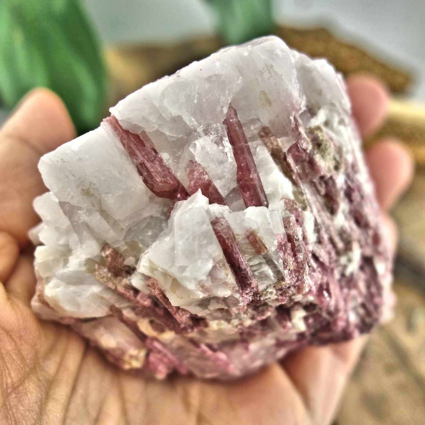 Large Pink Tourmaline Blades Nestled in Creamy Quartz Matrix From Brazil - Earth Family Crystals