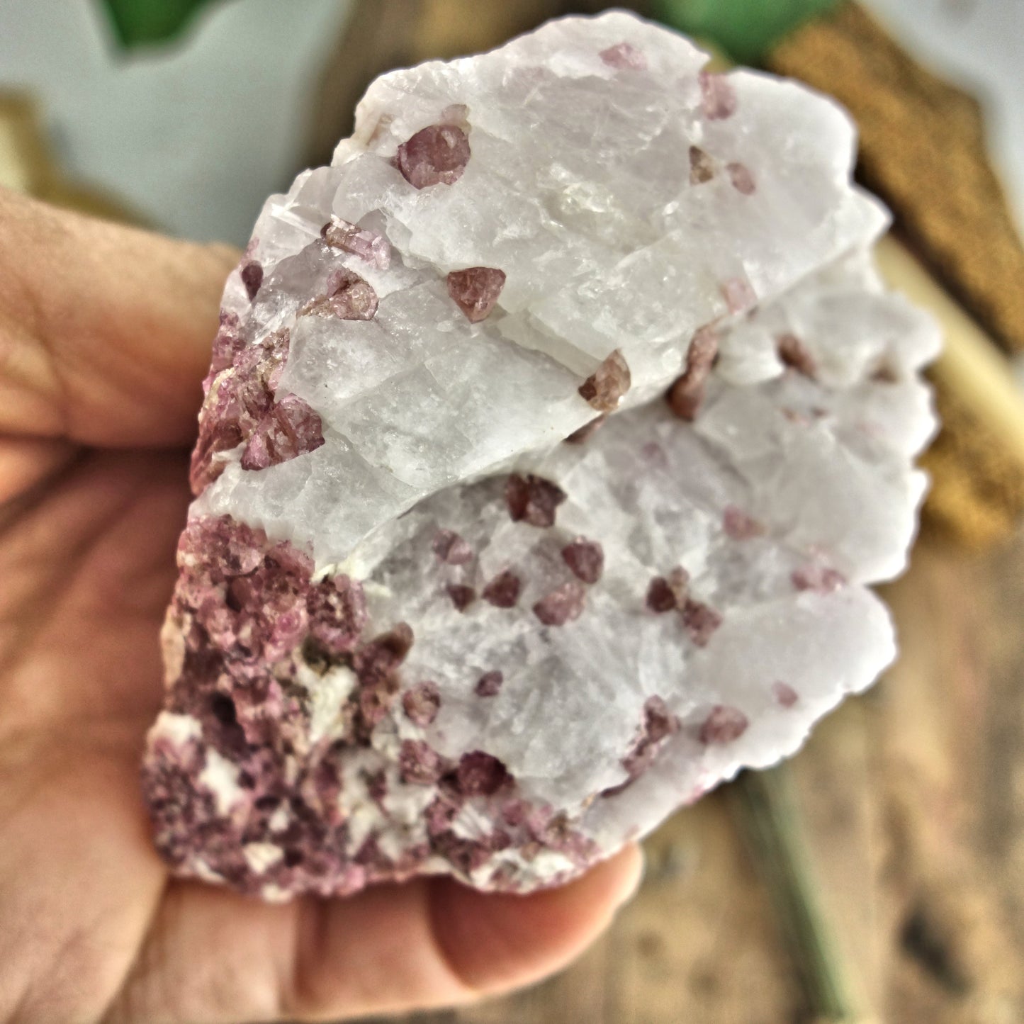 Large Pink Tourmaline Blades Nestled in Creamy Quartz Matrix From Brazil - Earth Family Crystals