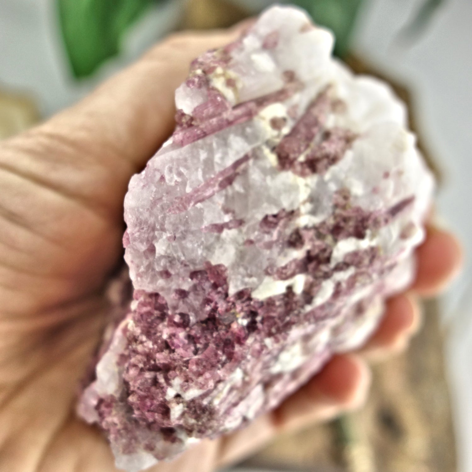 Large Pink Tourmaline Blades Nestled in Creamy Quartz Matrix From Brazil - Earth Family Crystals