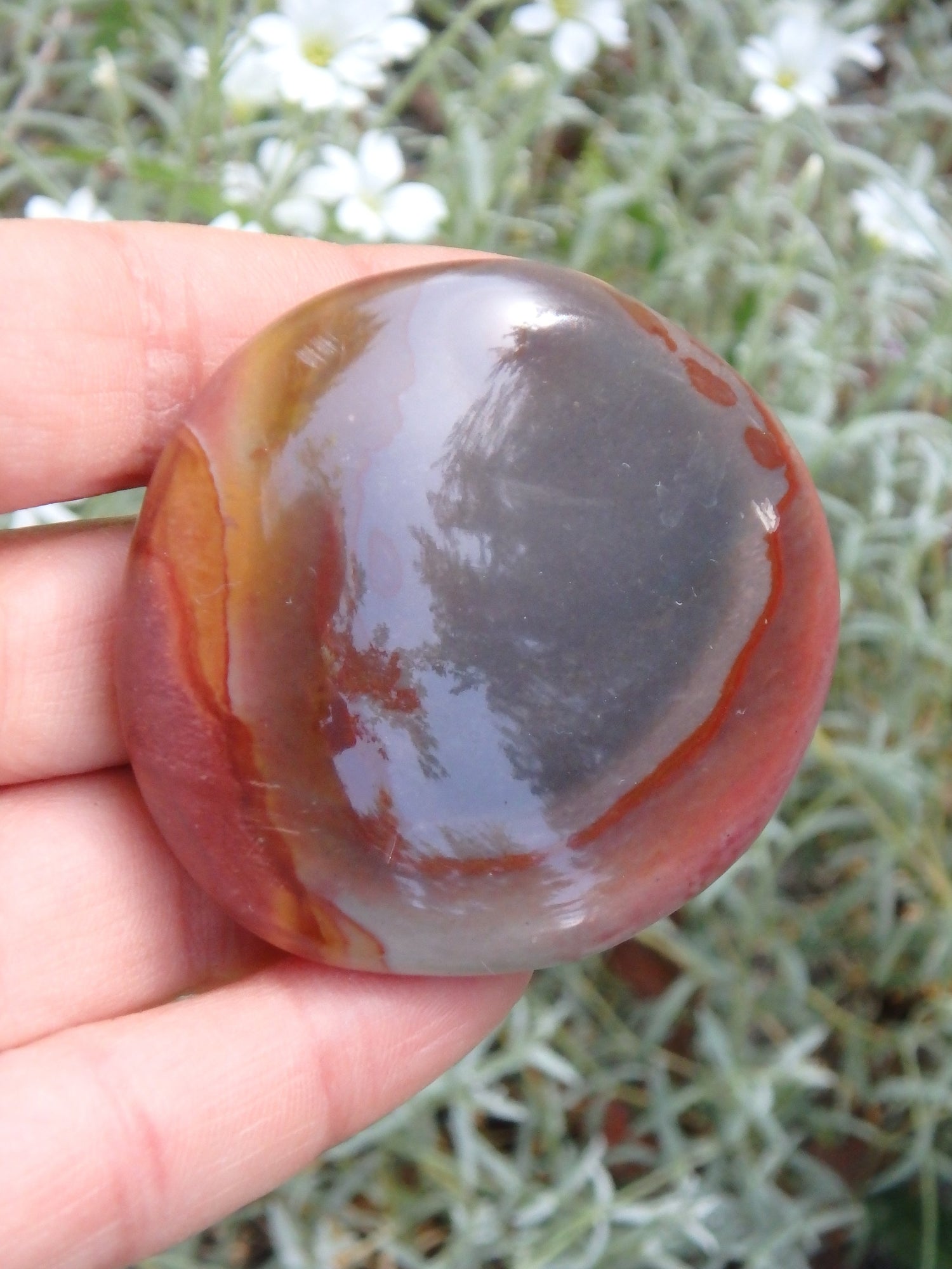 Pretty Deep Burgundy Patterns Polychrome Jasper Pocket Stone - Metiz Tier Price