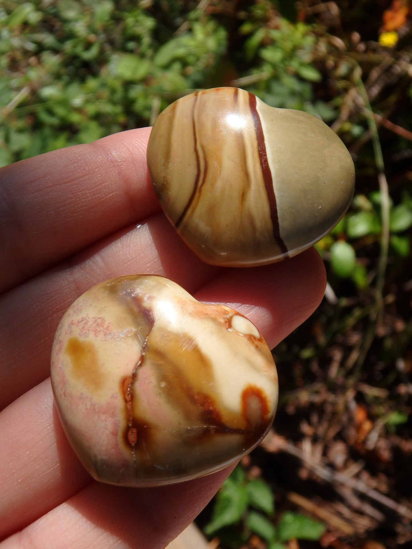 Set of 2~Delightful Colors Polychrome Jasper Small Heart Set 2 - Metiz Tier Price
