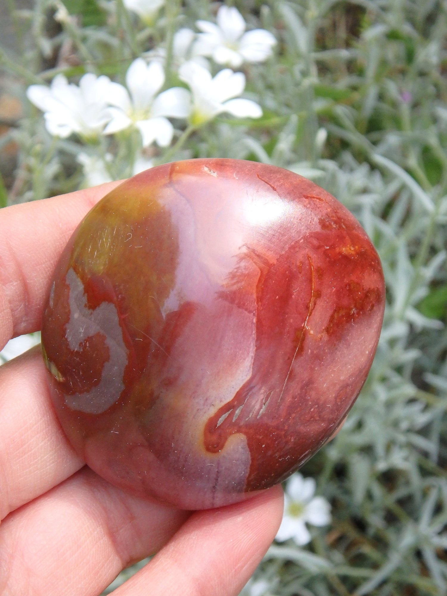 Pretty Deep Burgundy Patterns Polychrome Jasper Pocket Stone - Metiz Tier Price
