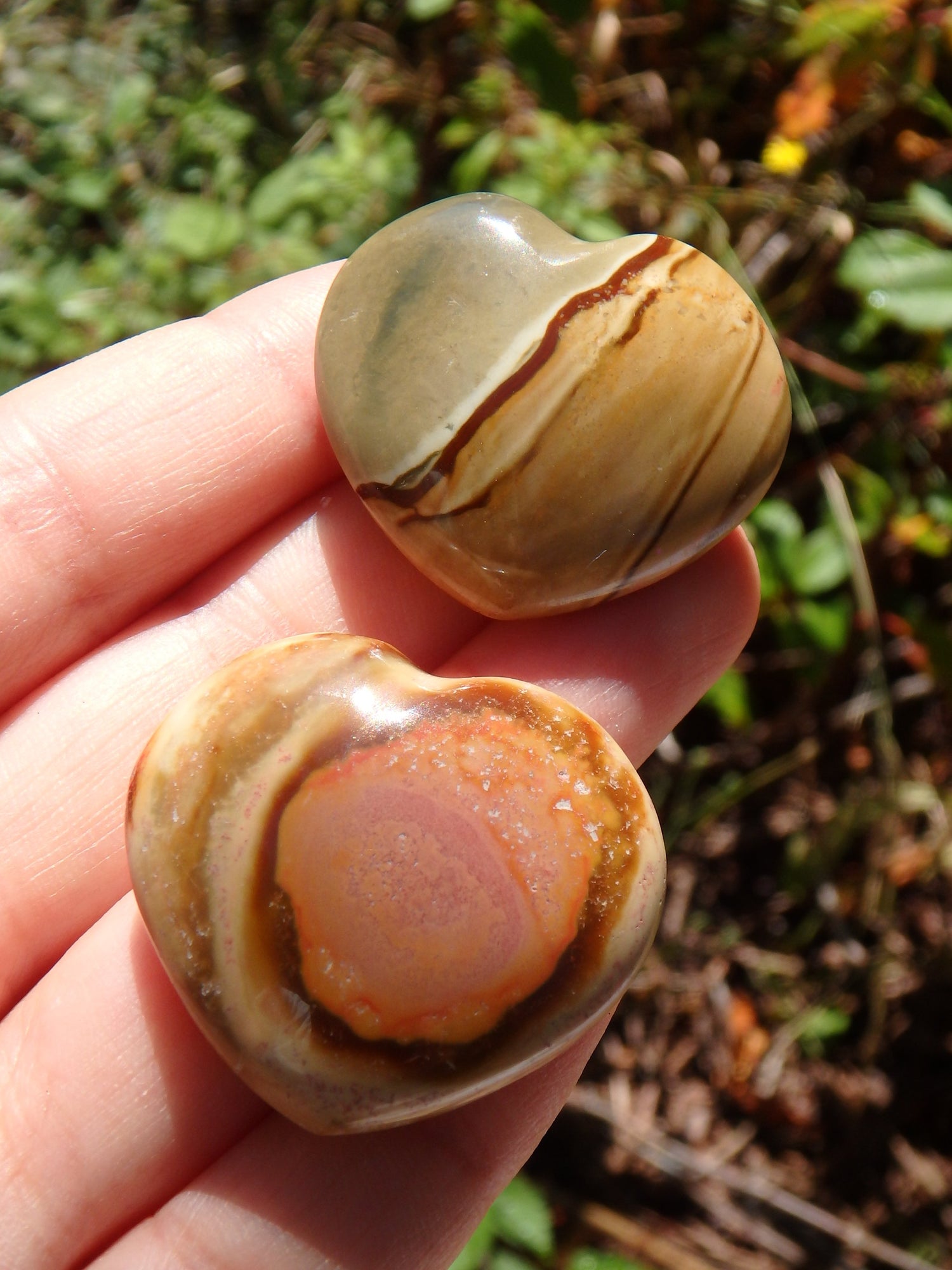 Set of 2~Delightful Colors Polychrome Jasper Small Heart Set 2 - Metiz Tier Price