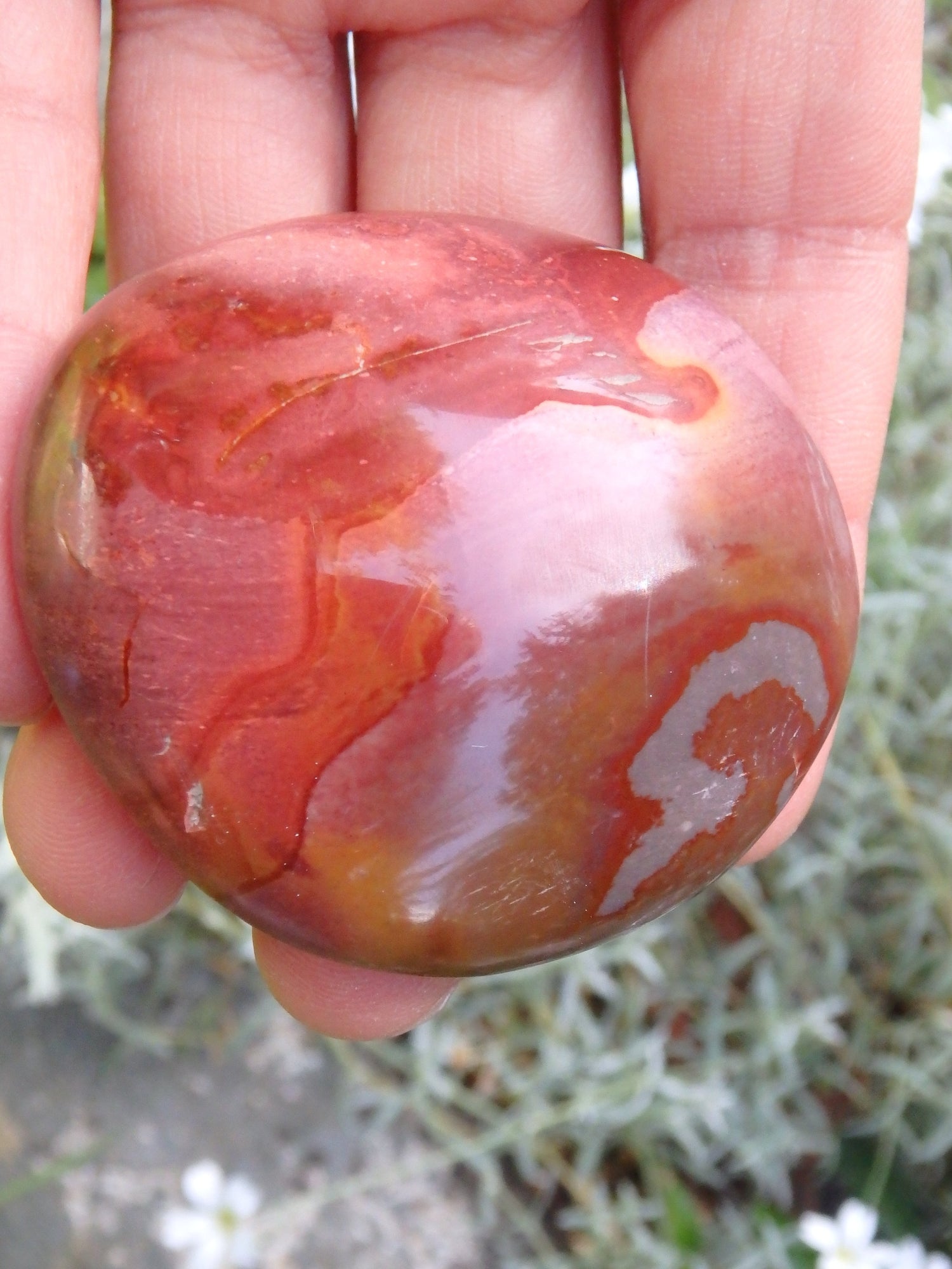 Pretty Deep Burgundy Patterns Polychrome Jasper Pocket Stone - Metiz Tier Price