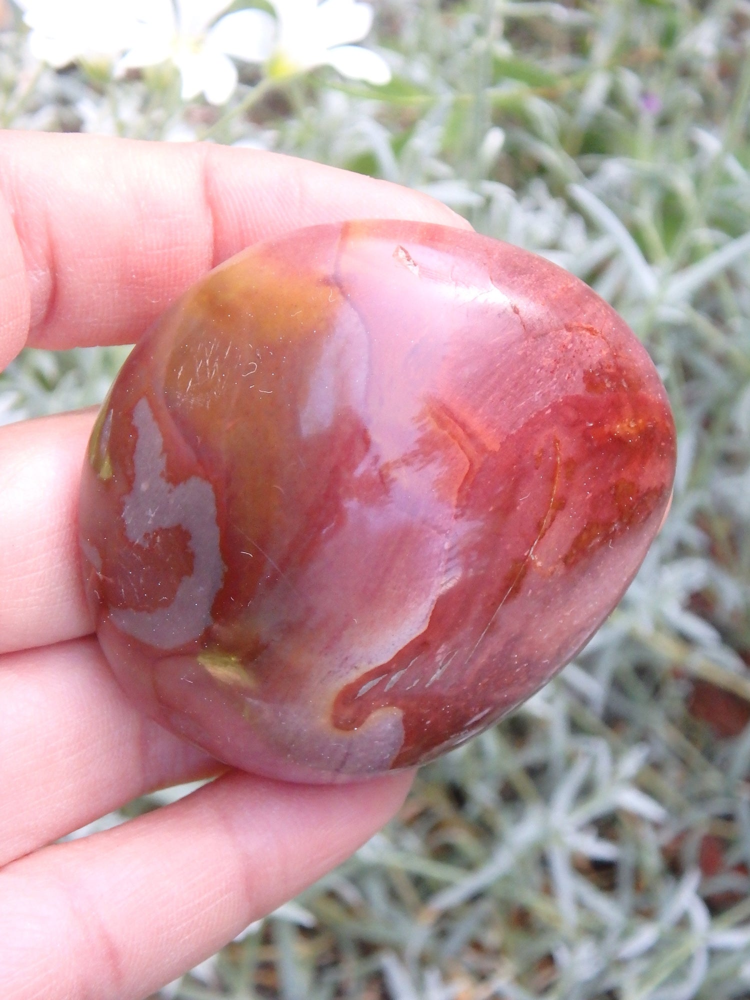 Pretty Deep Burgundy Patterns Polychrome Jasper Pocket Stone - Metiz Tier Price