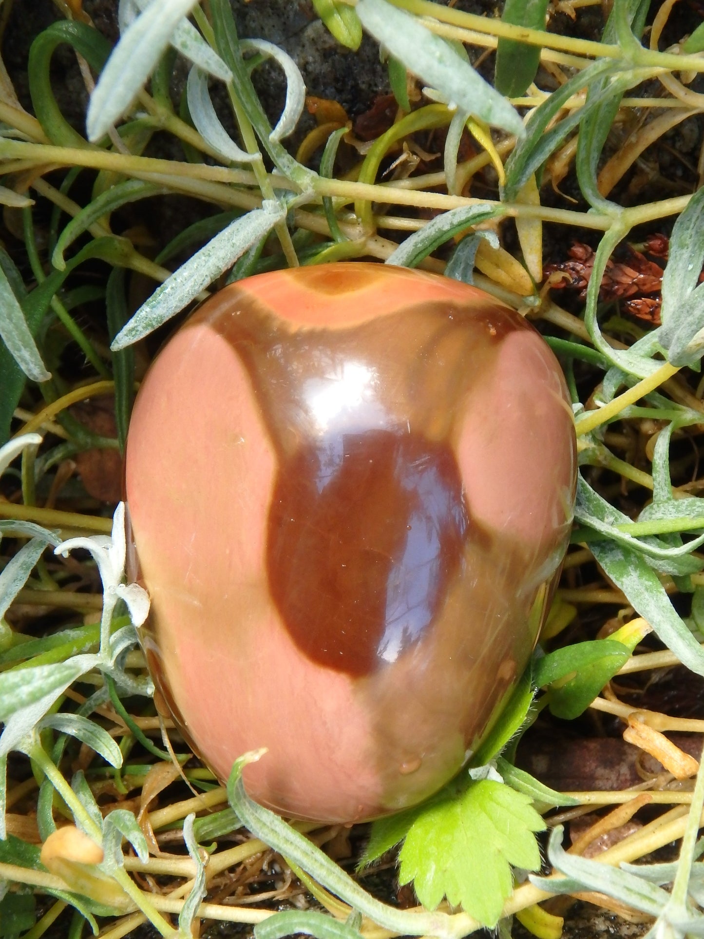 Incredible Patterns Smooth Polychrome Jasper Hand Held Pocket Stone - Metiz Tier Price