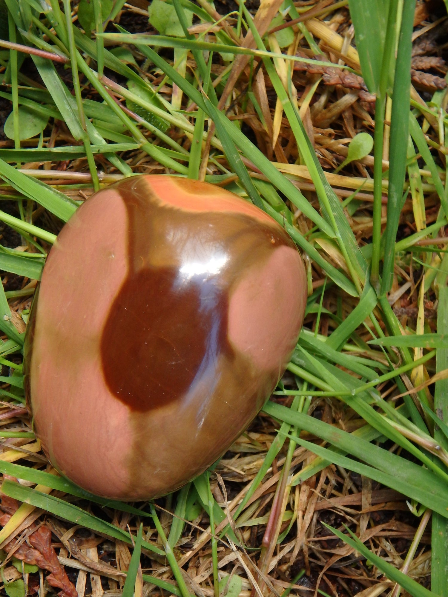 Incredible Patterns Smooth Polychrome Jasper Hand Held Pocket Stone - Metiz Tier Price
