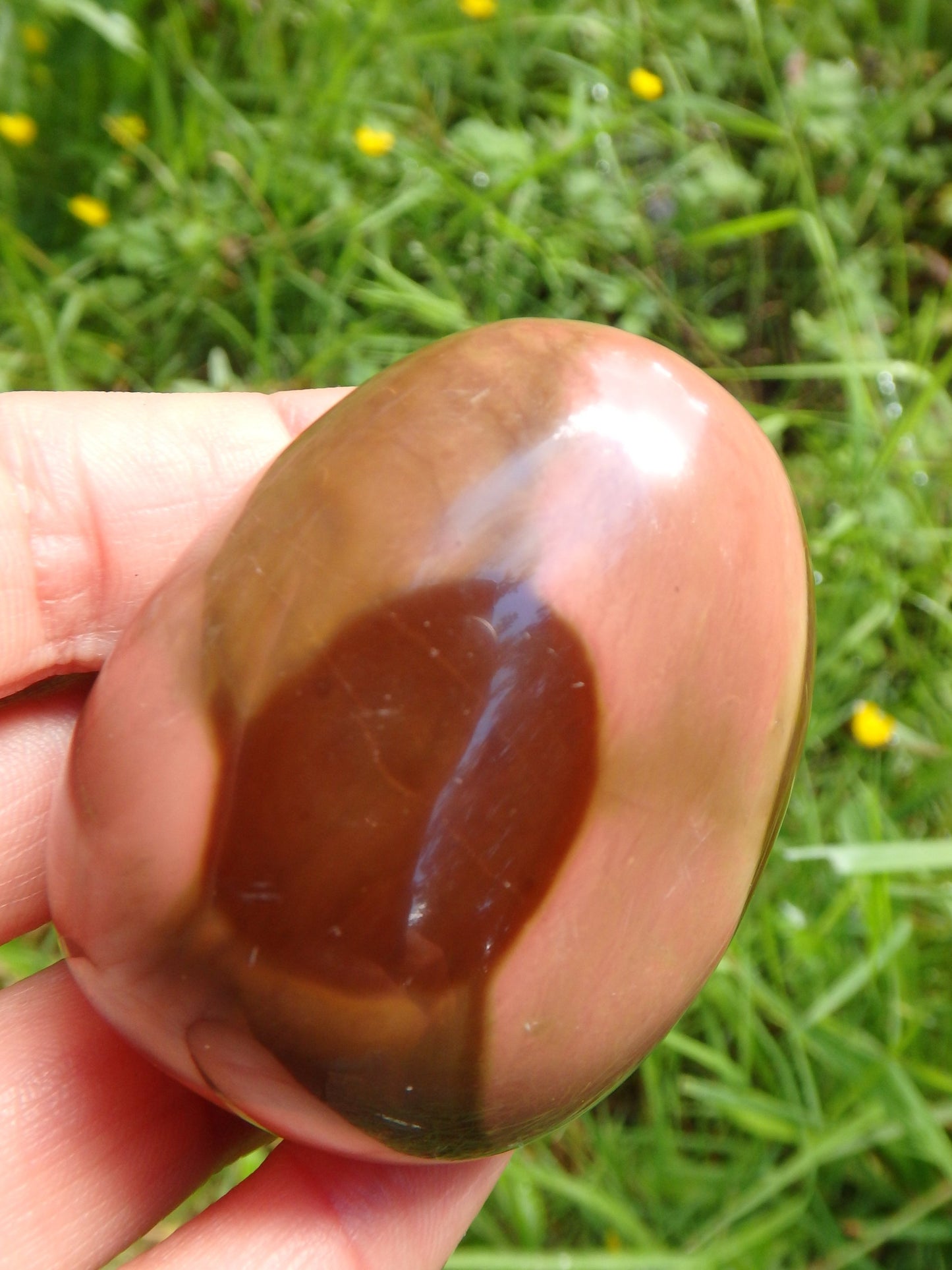 Incredible Patterns Smooth Polychrome Jasper Hand Held Pocket Stone - Metiz Tier Price