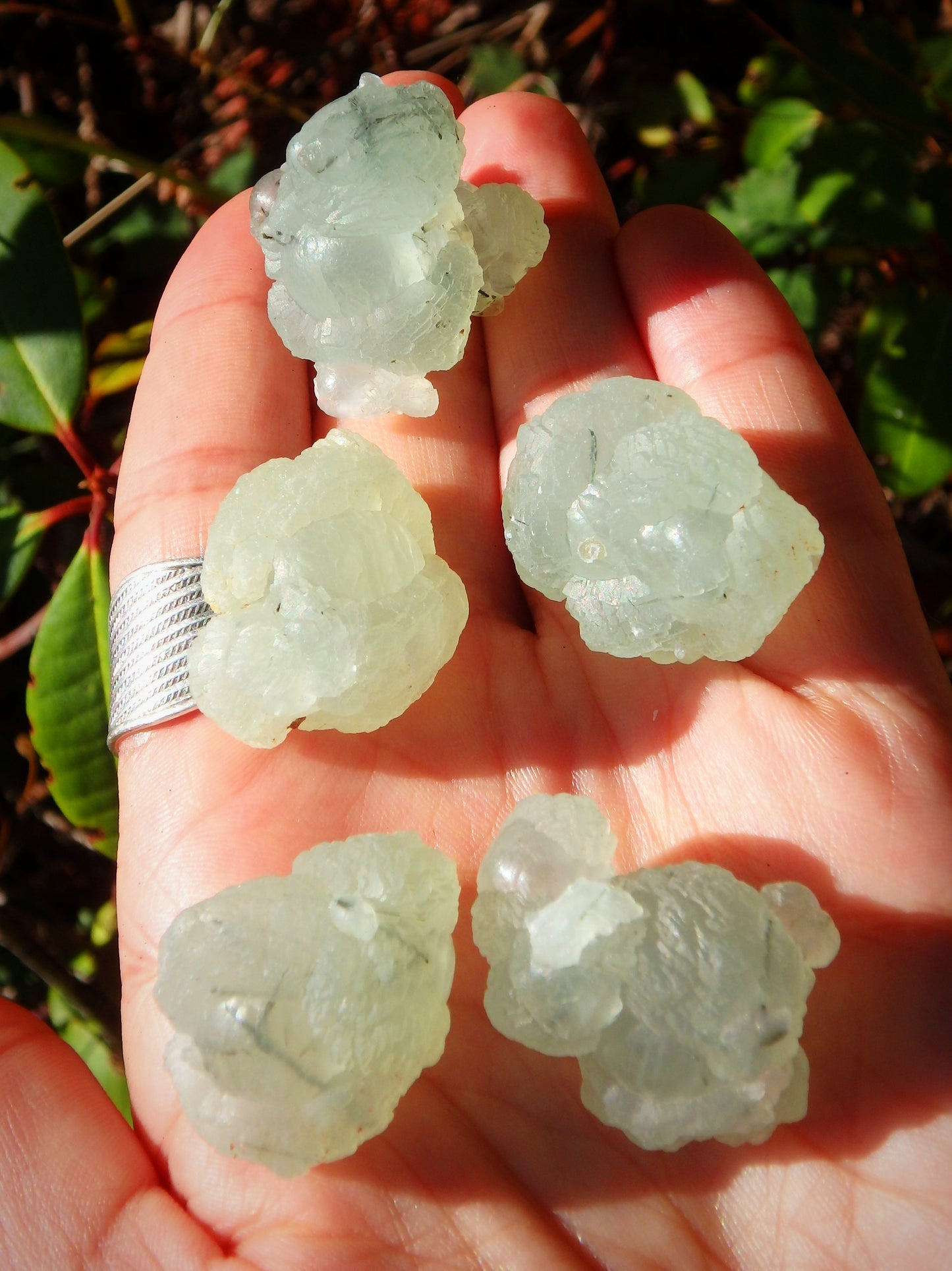 Extreme Healing Minty Green Prehnite Natural Nodule With Dark Epidote Blade Inclusions (1) - Earth Family Crystals