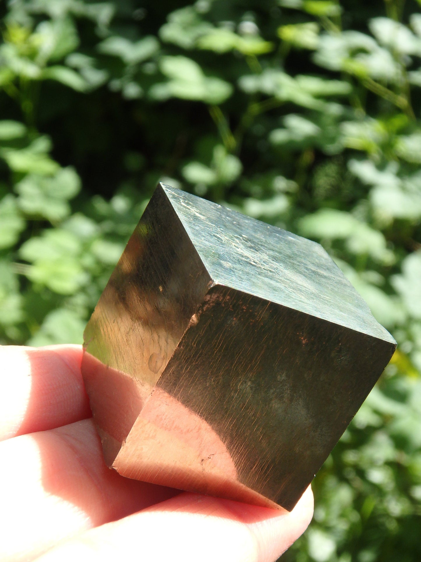  Completely Natural Golden Pyrite Cube Specimen From Spain