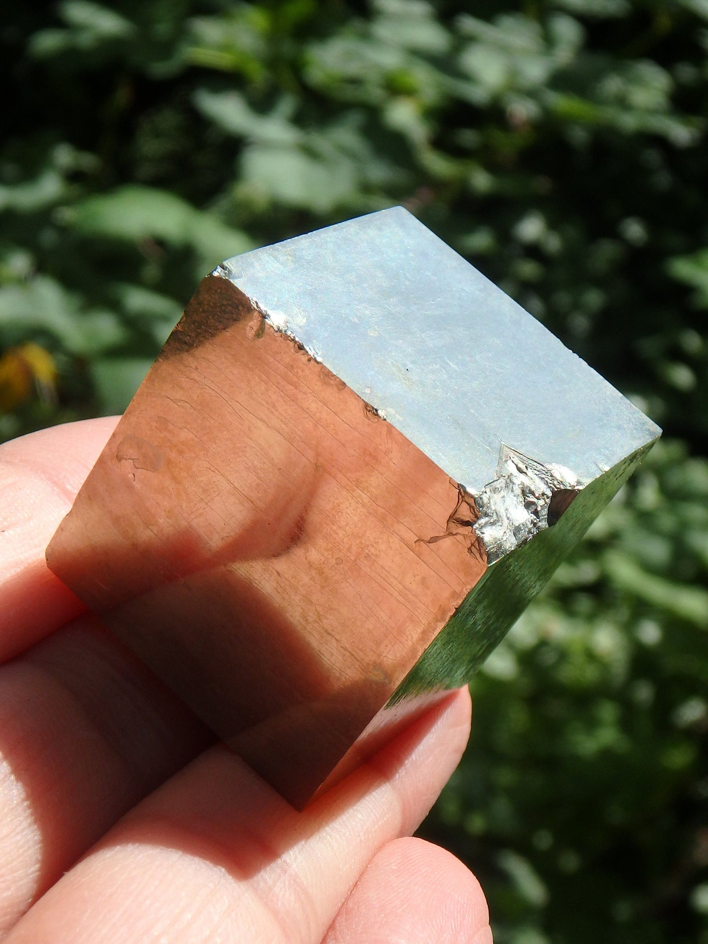  Completely Natural Golden Pyrite Cube Specimen From Spain
