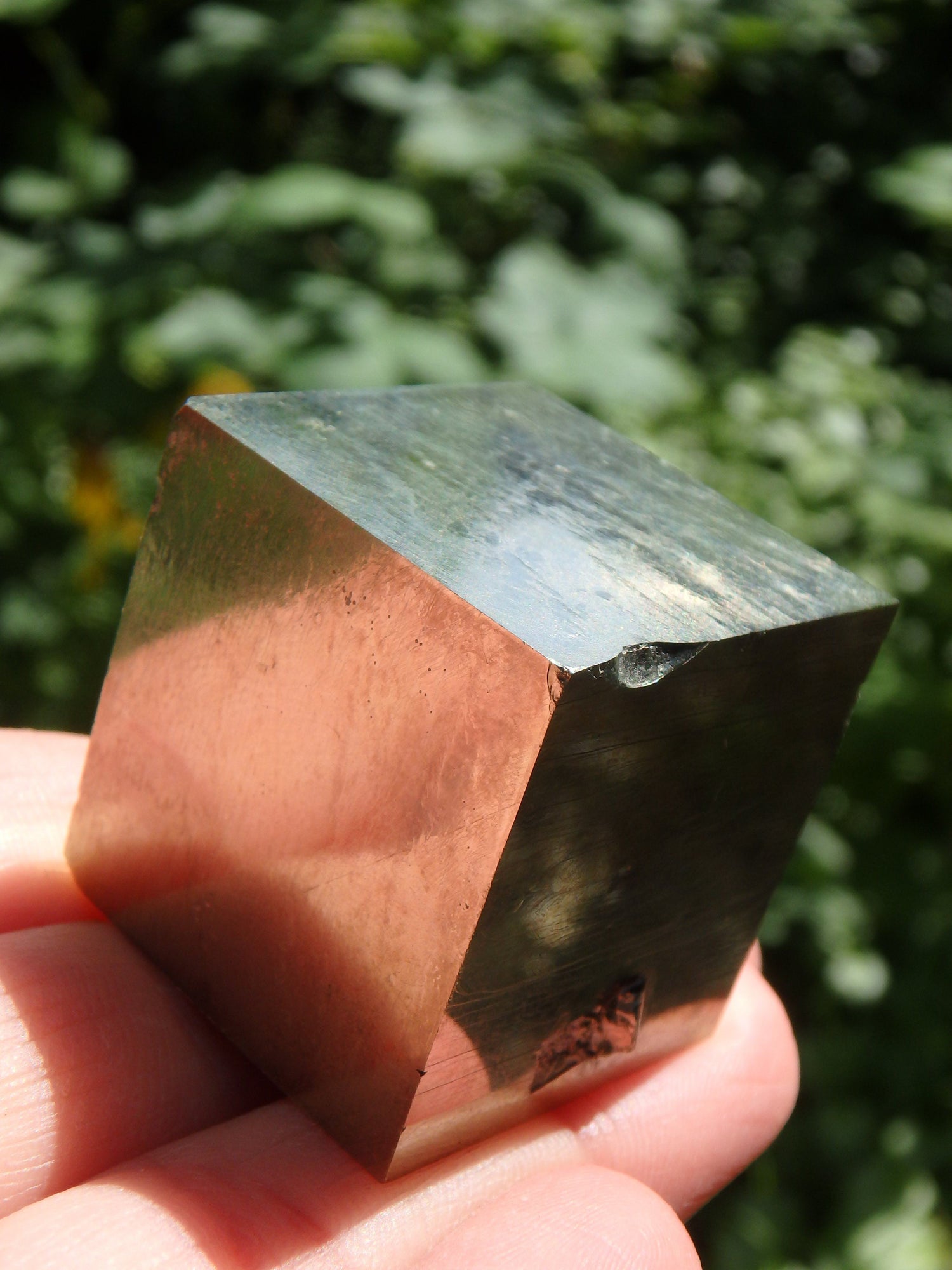  Completely Natural Golden Pyrite Cube Specimen From Spain
