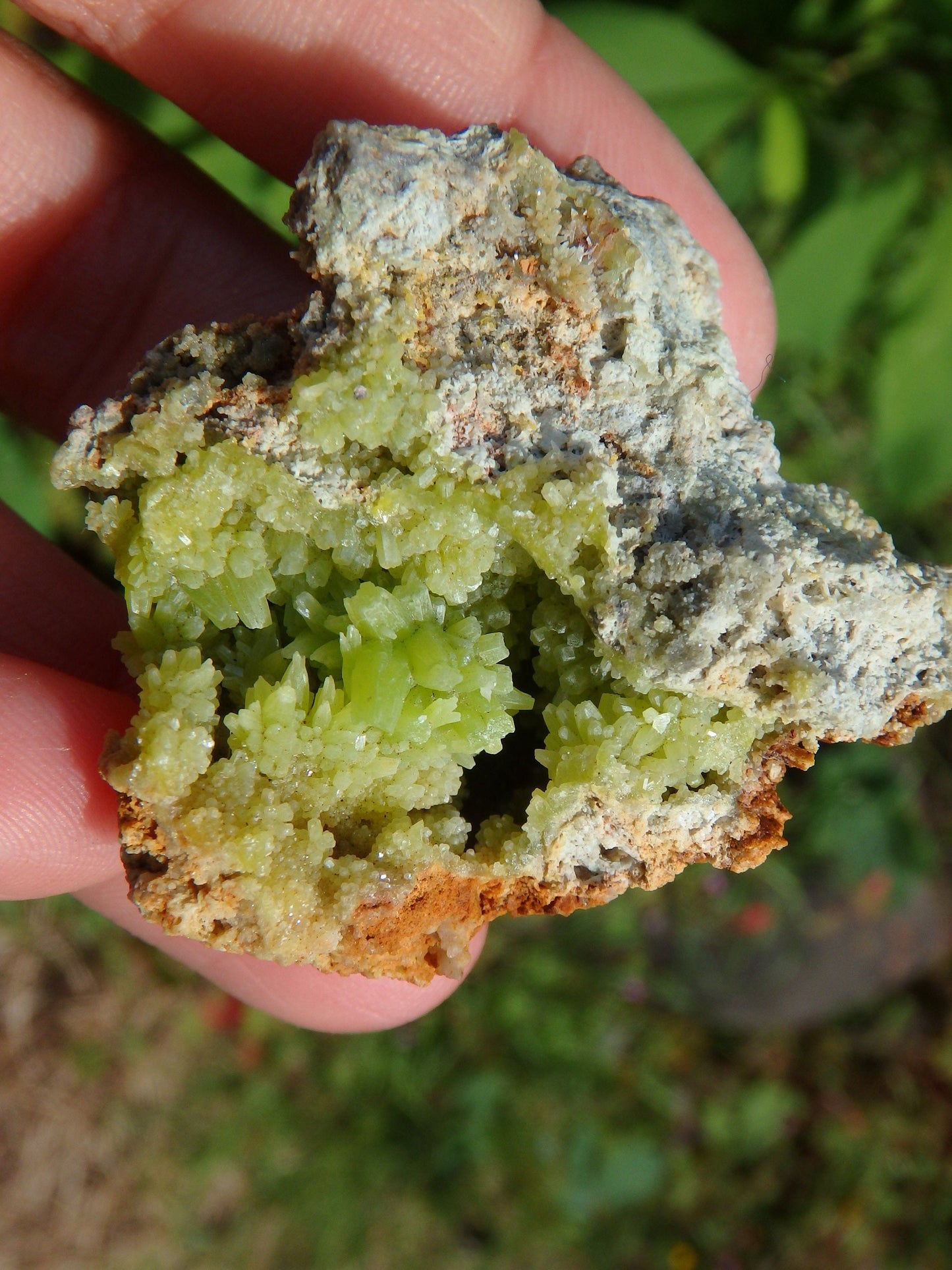  Electric Green Druzy Points Nestled in Cave Pyromorphite Specimen