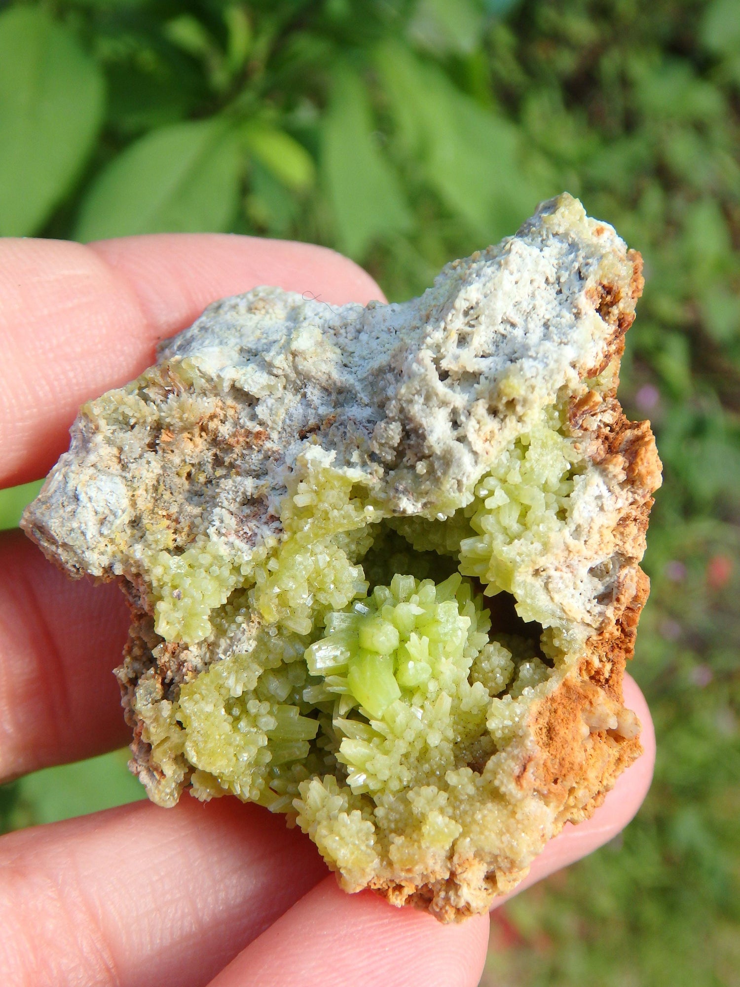  Electric Green Druzy Points Nestled in Cave Pyromorphite Specimen