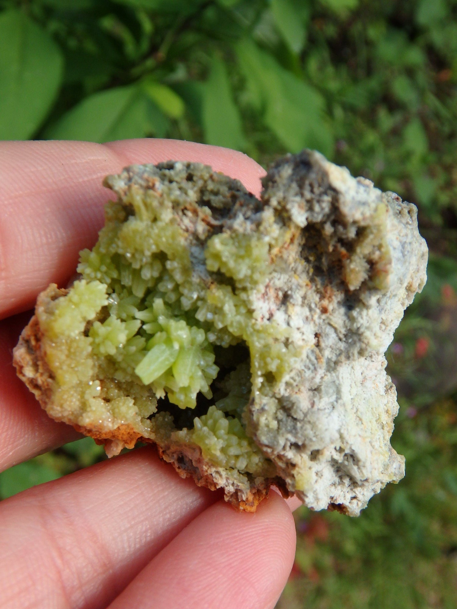  Electric Green Druzy Points Nestled in Cave Pyromorphite Specimen