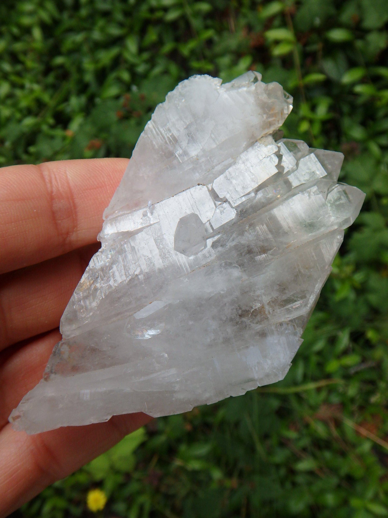  Blue Phantom Elestial Self Healed Arkansas Multi Point Quartz Cluster