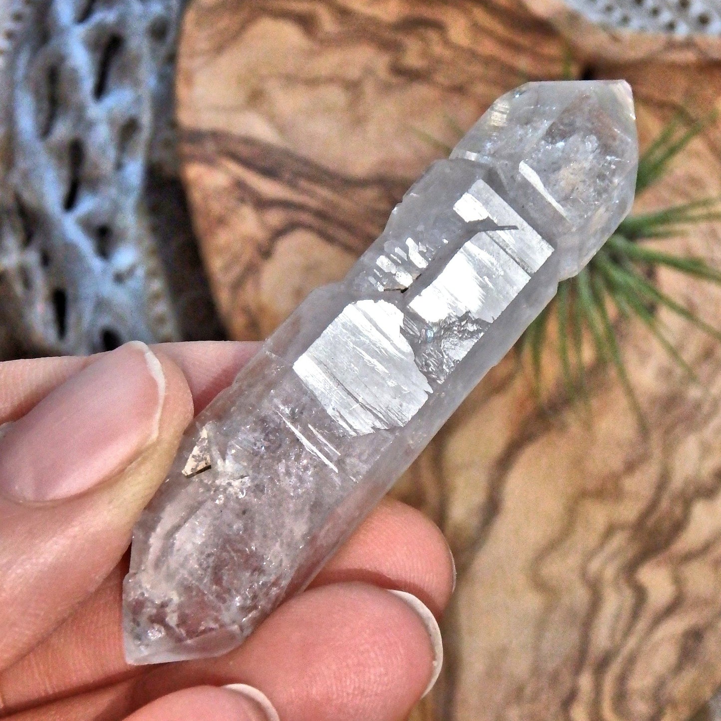  Brilliant Sceptre DT Tibetan Quartz Manifestation Point