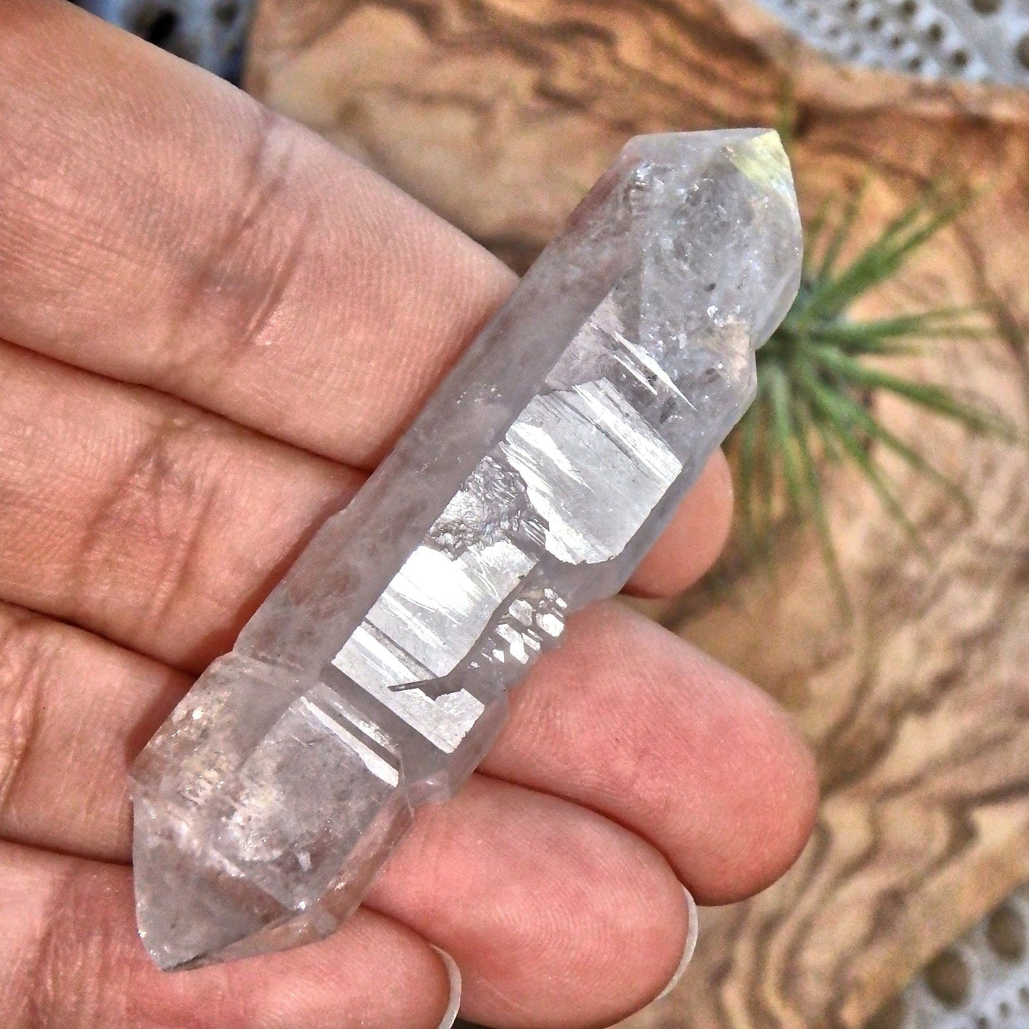  Brilliant Sceptre DT Tibetan Quartz Manifestation Point