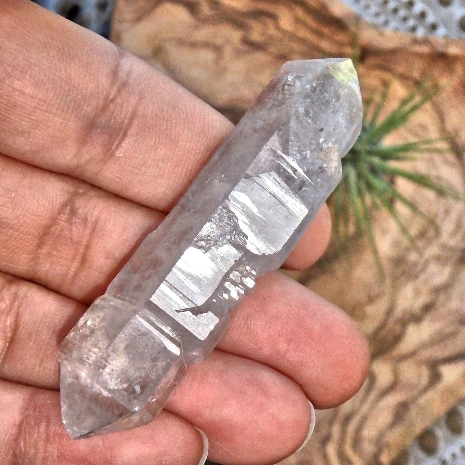  Brilliant Sceptre DT Tibetan Quartz Manifestation Point