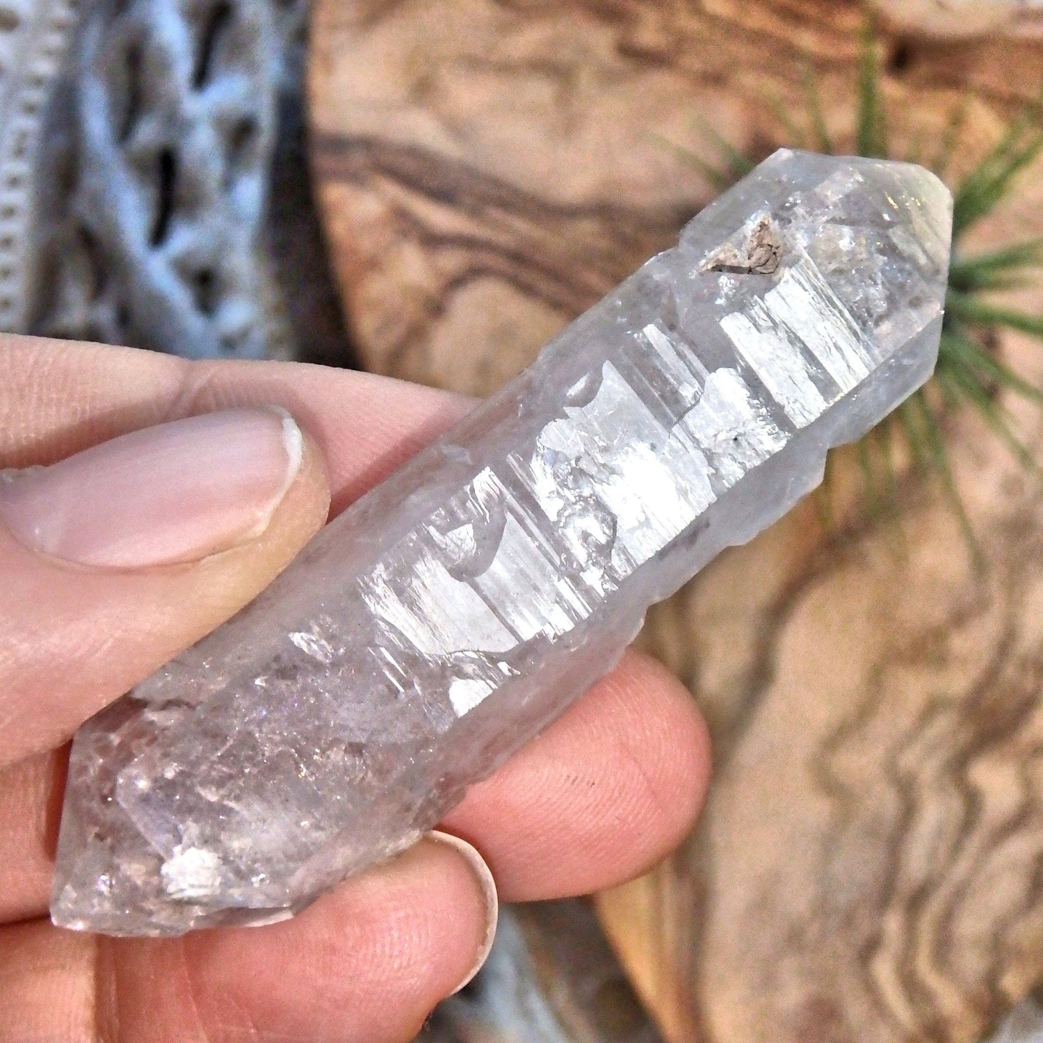  Brilliant Sceptre DT Tibetan Quartz Manifestation Point