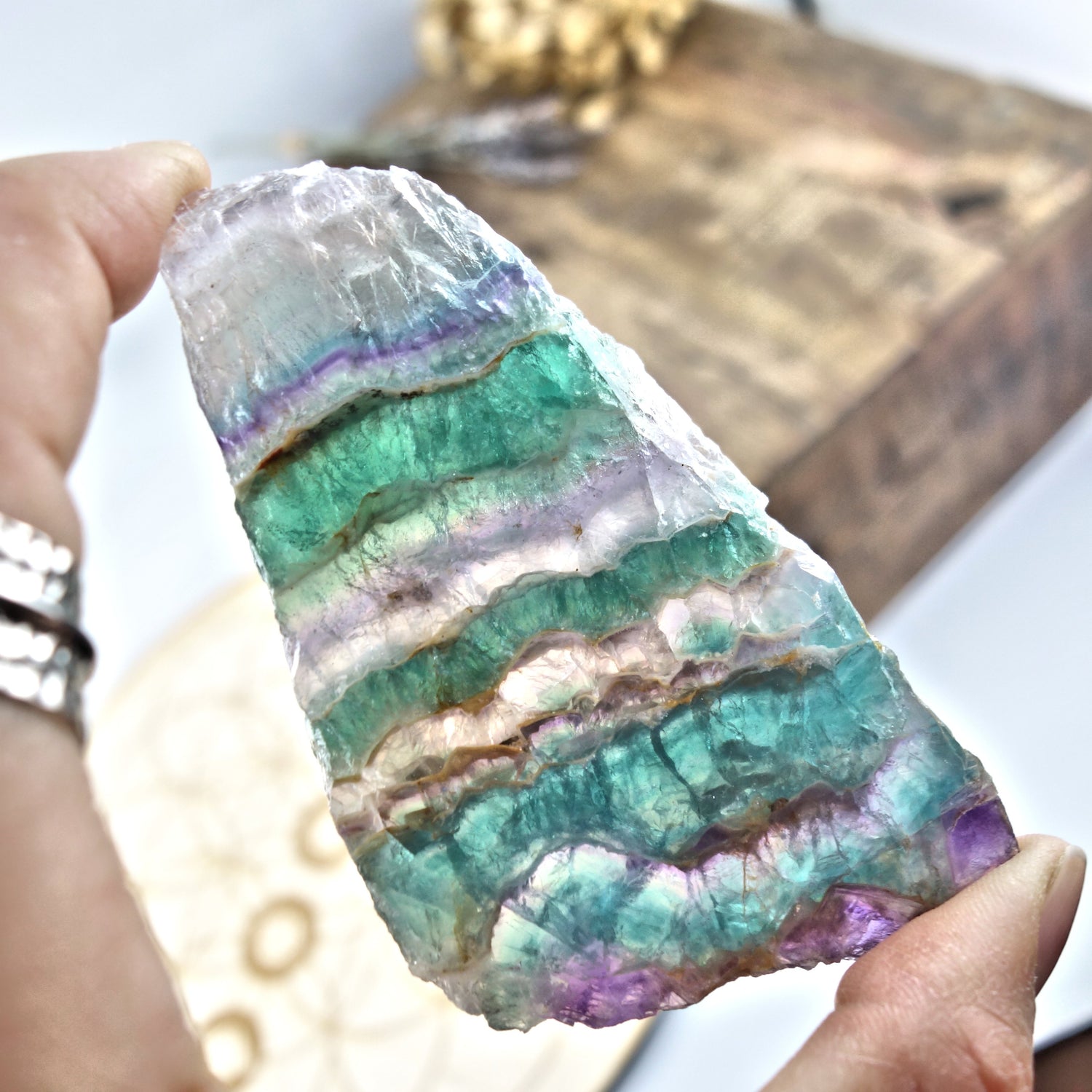 Layers of Beauty Rainbow Fluorite Partially Polished Slice - Earth Family Crystals