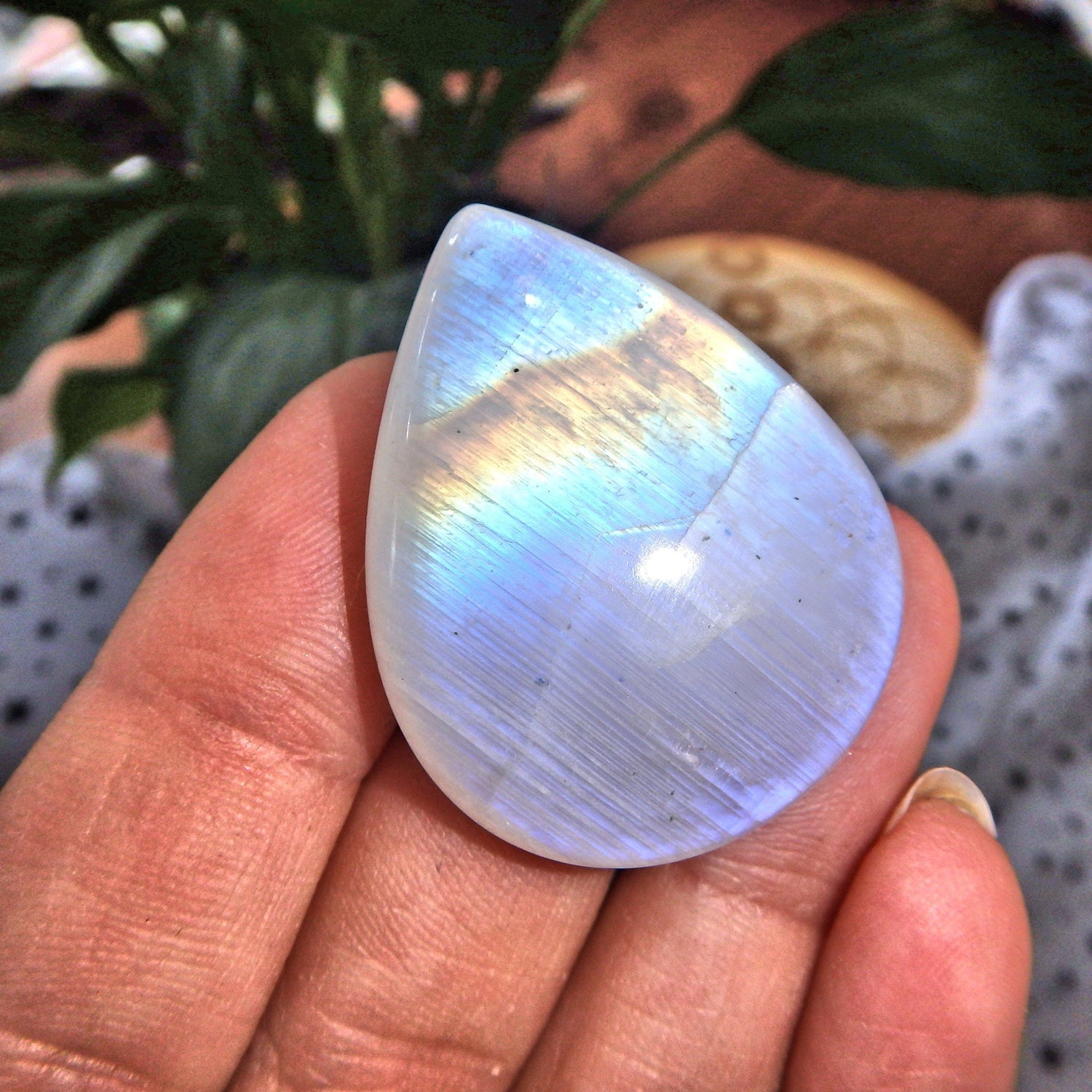  Beautiful Rainbow Moonstone Teardrop Cabochon-Perfect for Crafting