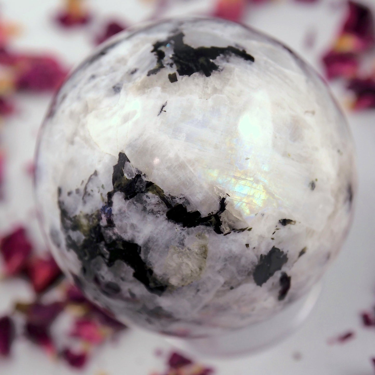  Black Tourmaline Galore & Rainbow Moonstone Medium Sphere Carving