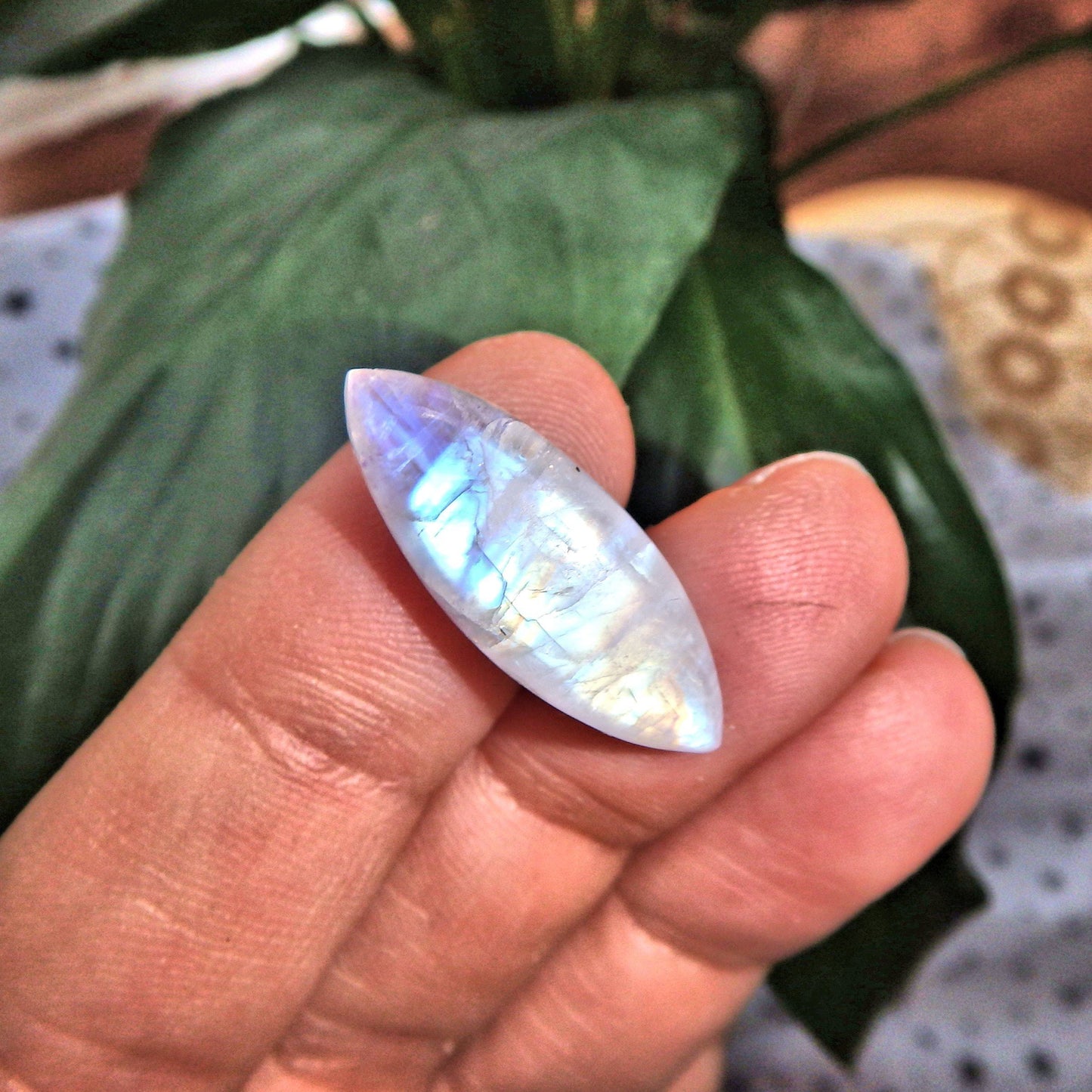  Cute Dainty Rainbow Moonstone Cabochon-Ideal for Crafting