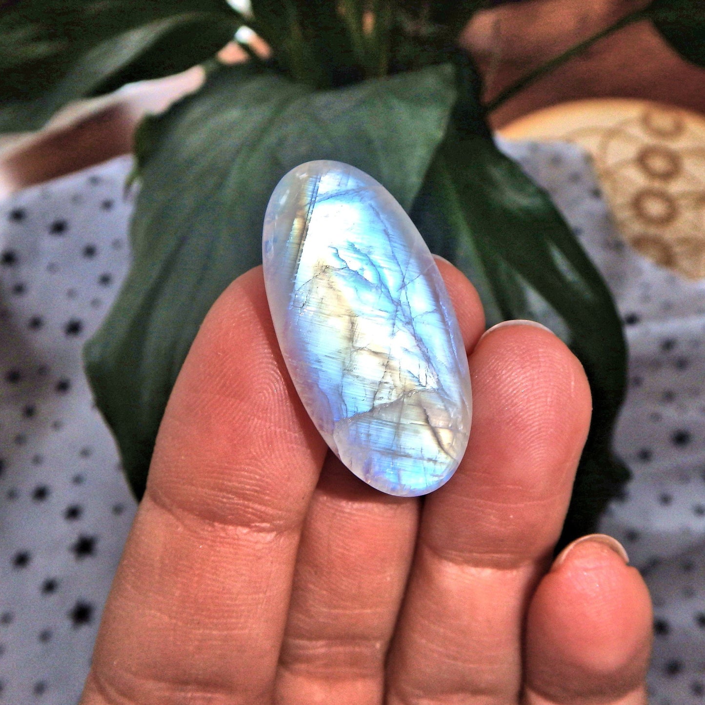  Blue & Golden Rainbow Moonstone Cabochon-Perfect for Crafting