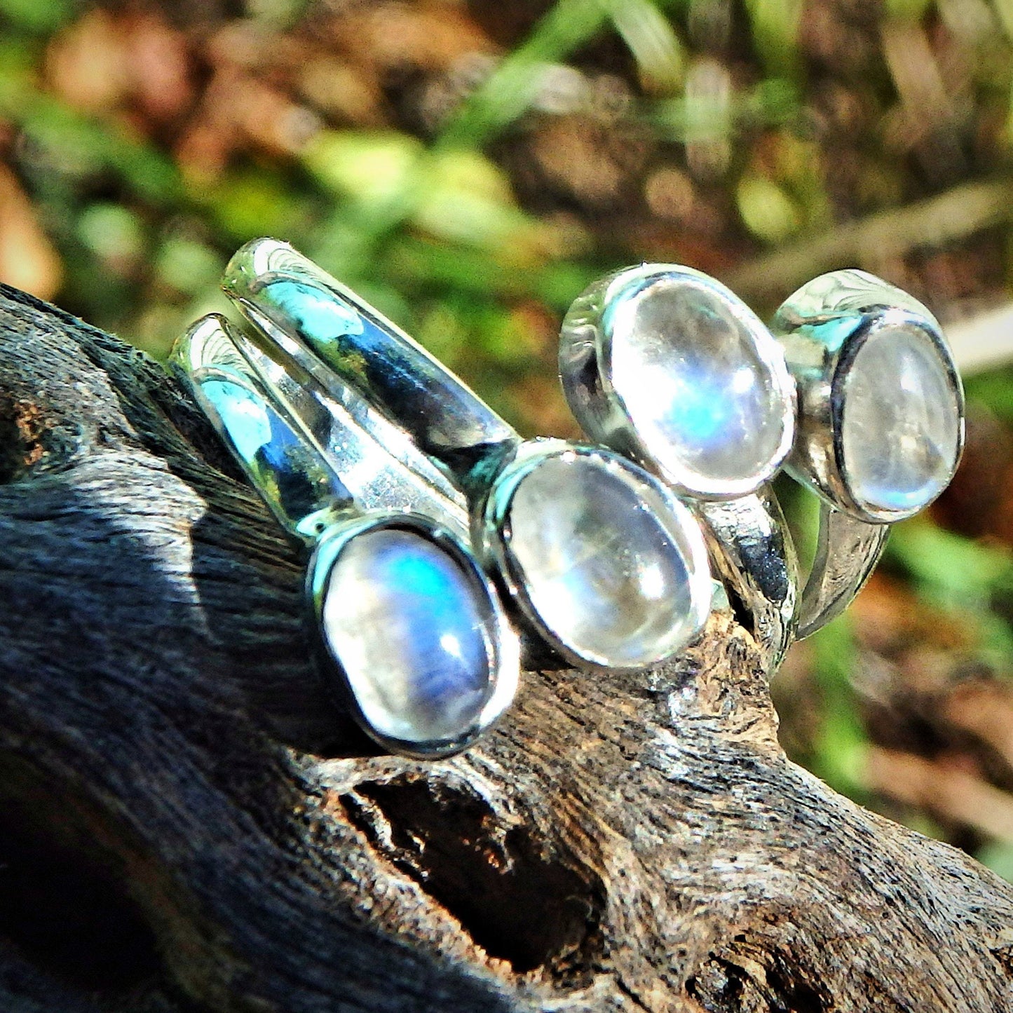  Blue Flashes 4 Stone Rainbow Moonstone Ring in Sterling Silver ( Adjustable Size 6.5-8)