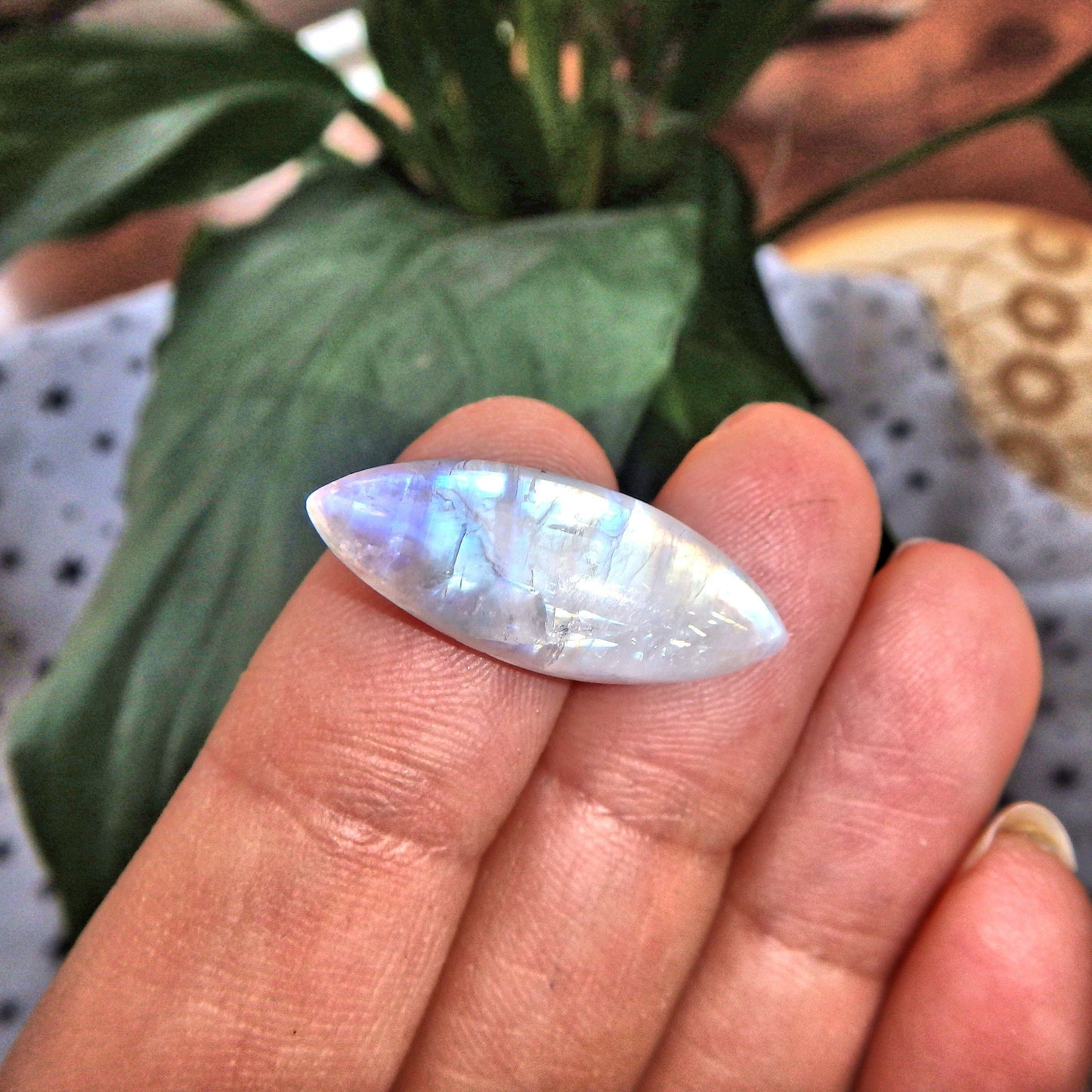  Cute Dainty Rainbow Moonstone Cabochon-Ideal for Crafting