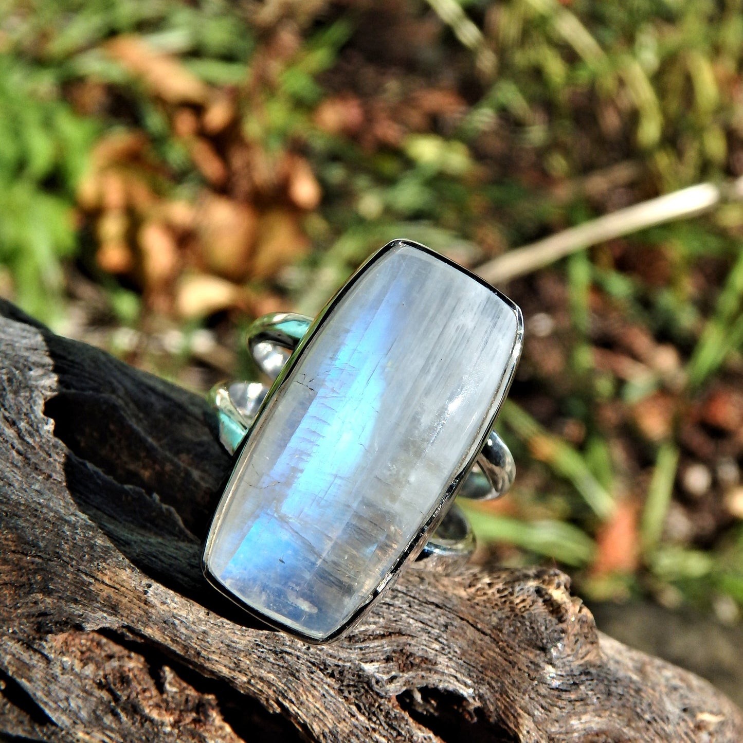 Mystical Blue Flashes Rainbow Moonstone Ring in Sterling Silver (Size 6) - Earth Family Crystals