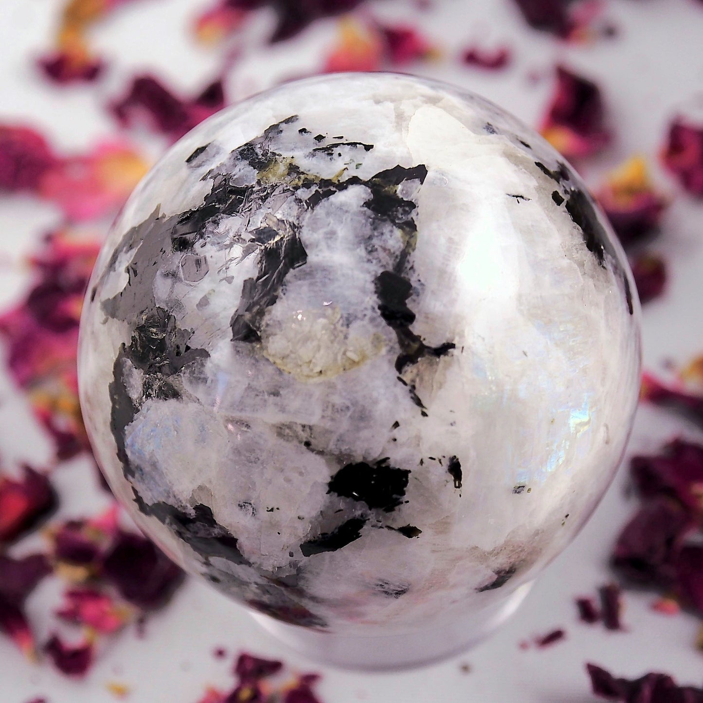  Black Tourmaline Galore & Rainbow Moonstone Medium Sphere Carving