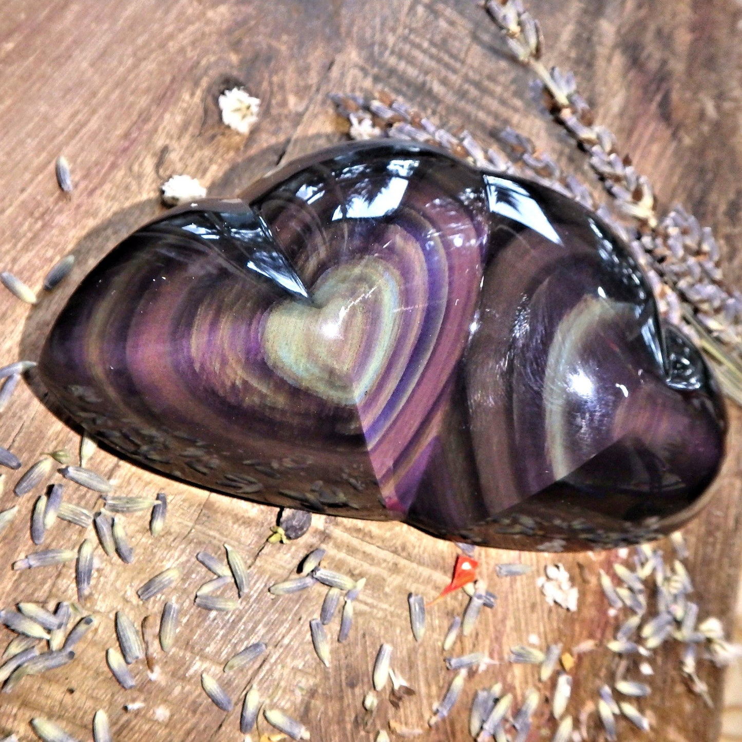 Double Love Hearts Rainbow Obsidian Display Specimen