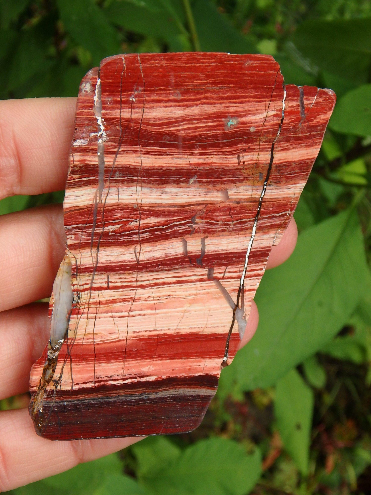  Australia Red Jasper Specimen Partially Polished