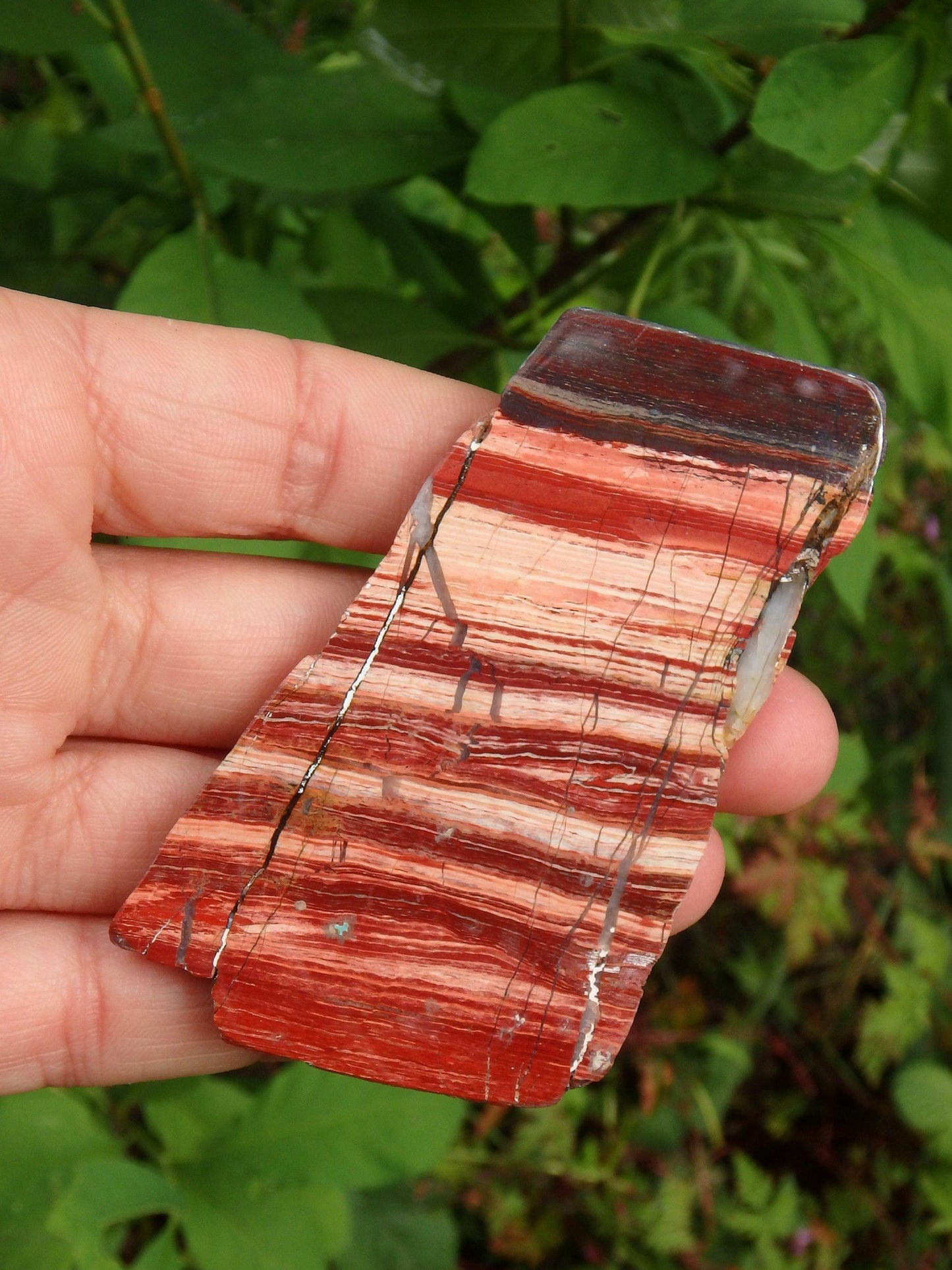  Australia Red Jasper Specimen Partially Polished