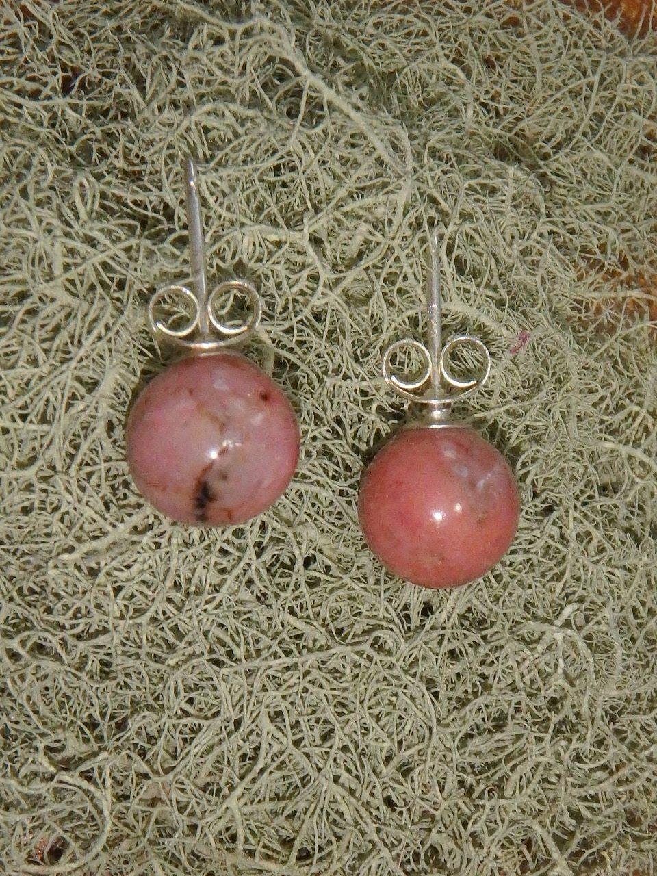  Creamy Pink Rhodonite Stud Earrings in Sterling Silver