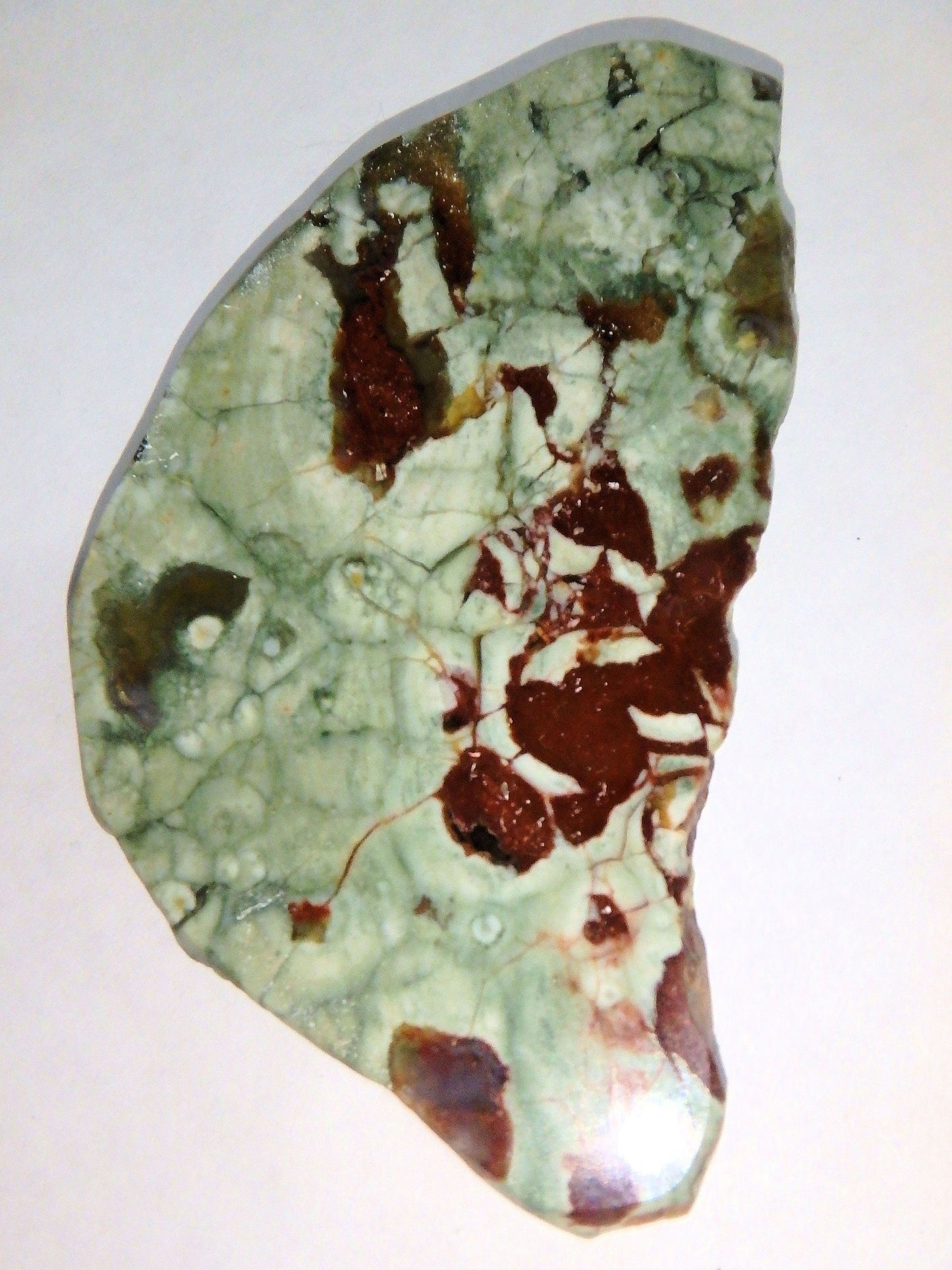  Australian Spherulitic Rhyolite Free Form Slice Specimen