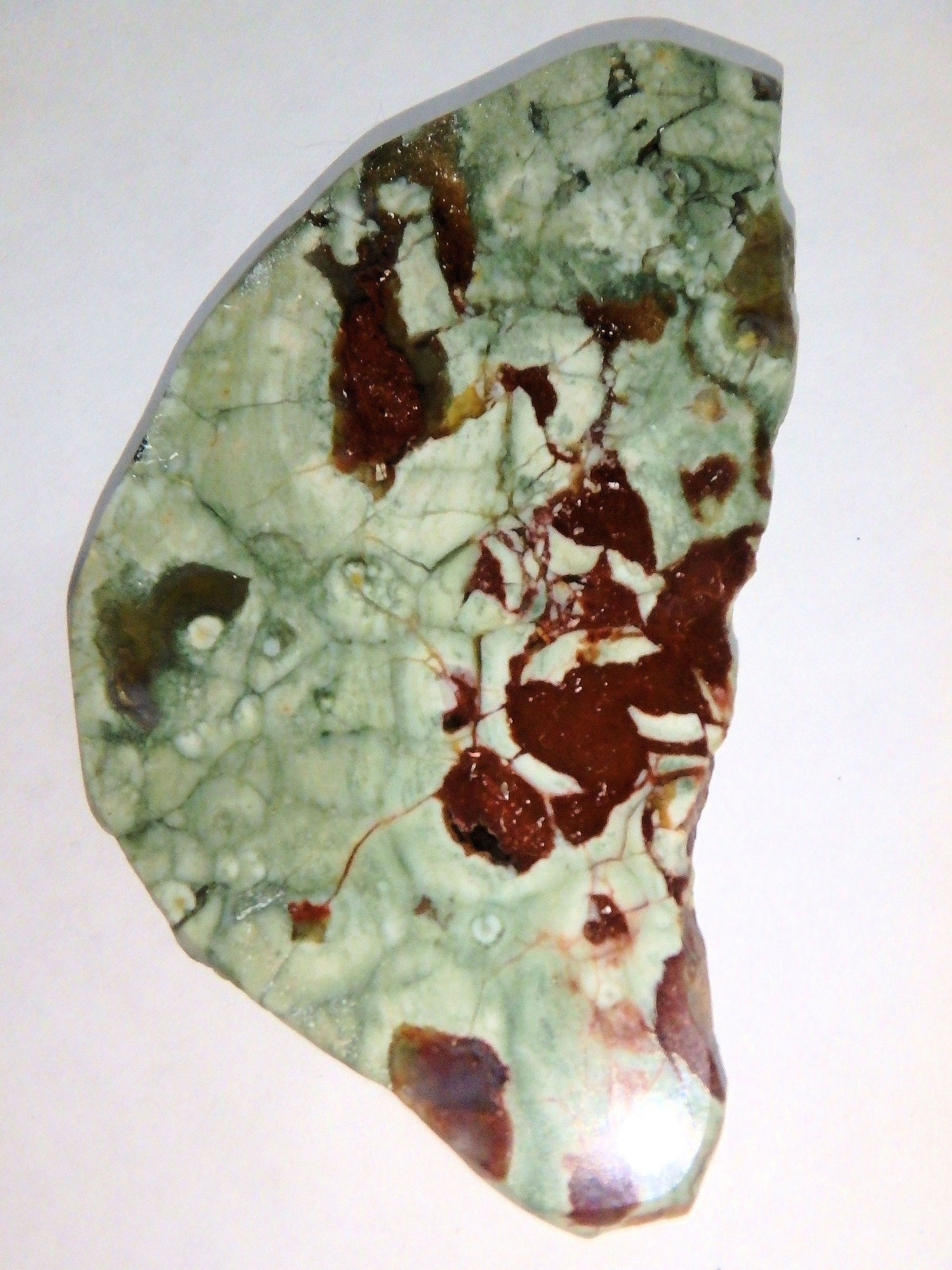  Australian Spherulitic Rhyolite Free Form Slice Specimen